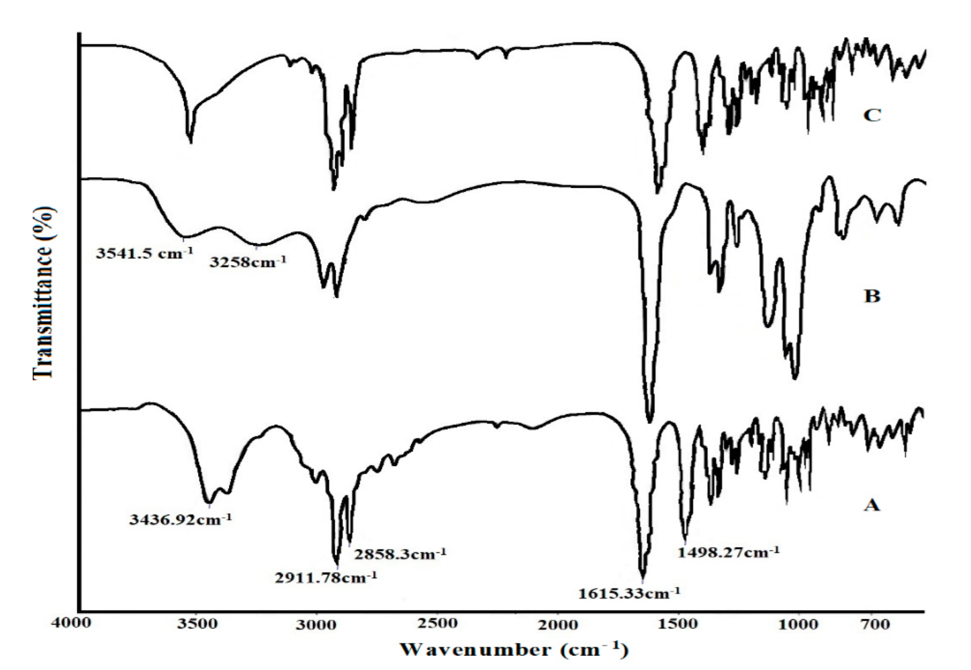 Molecules 27 07510 g006