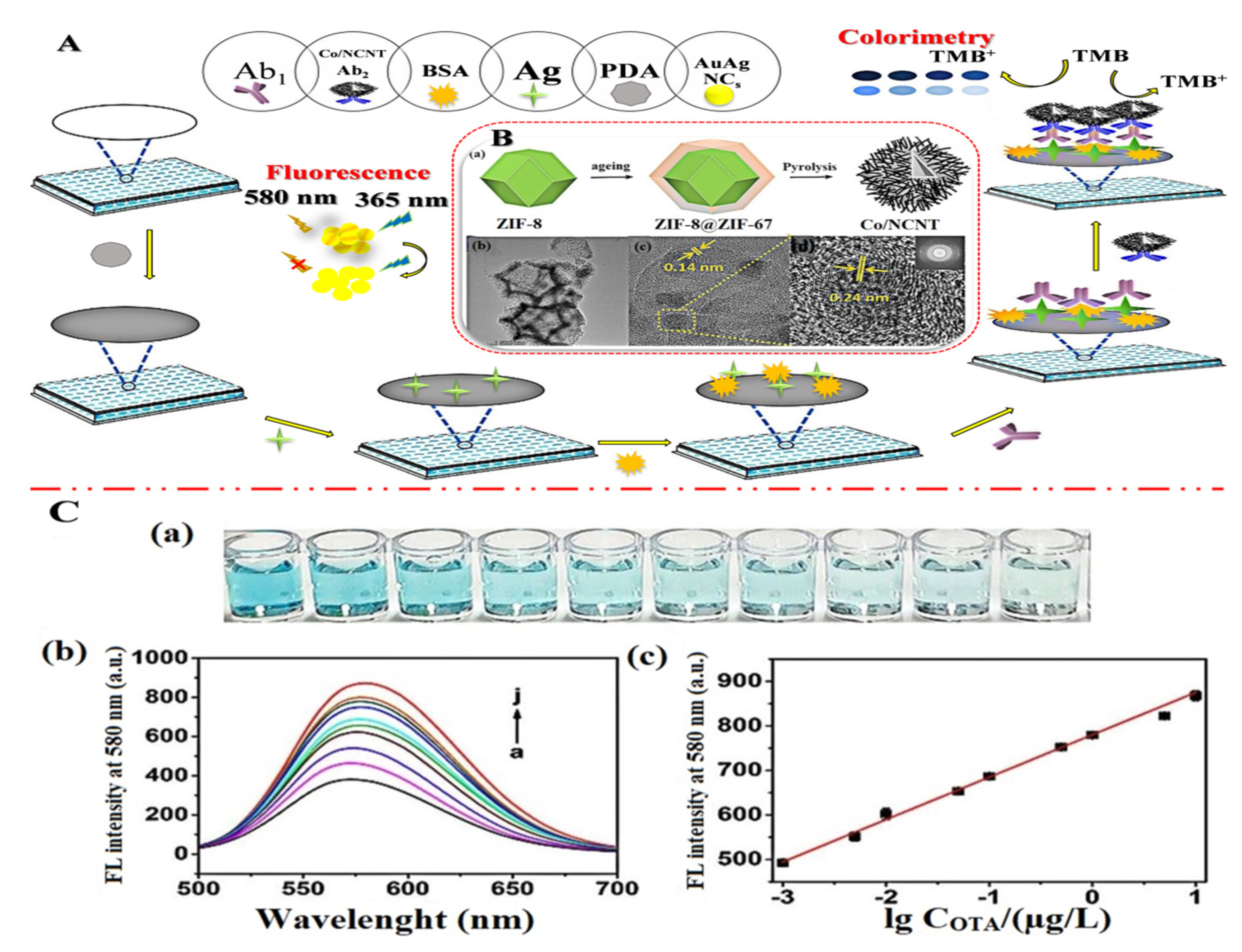 Molecules 27 07511 g007