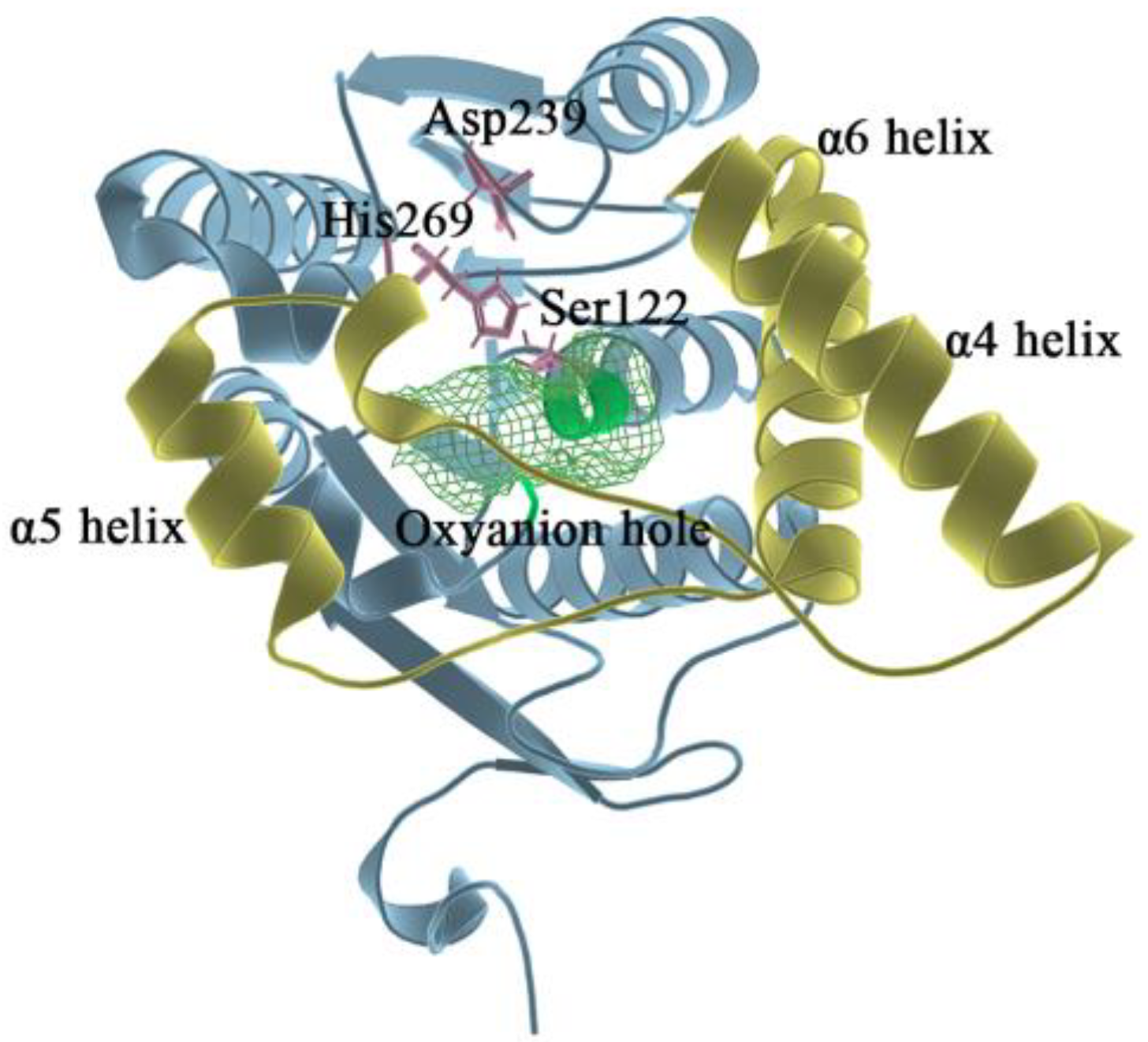 Molecules 27 07512 g001