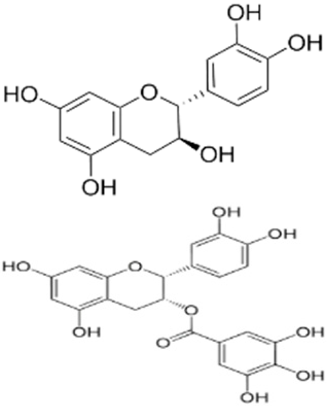 Molecules 27 07513 i007