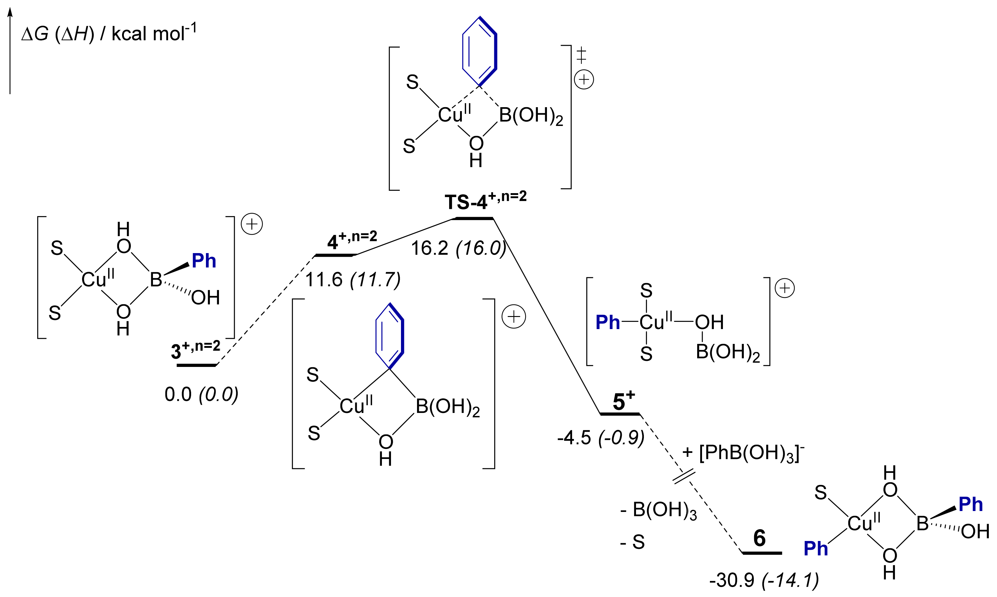 Molecules 27 07517 g005 Molecules 27 07517 g005