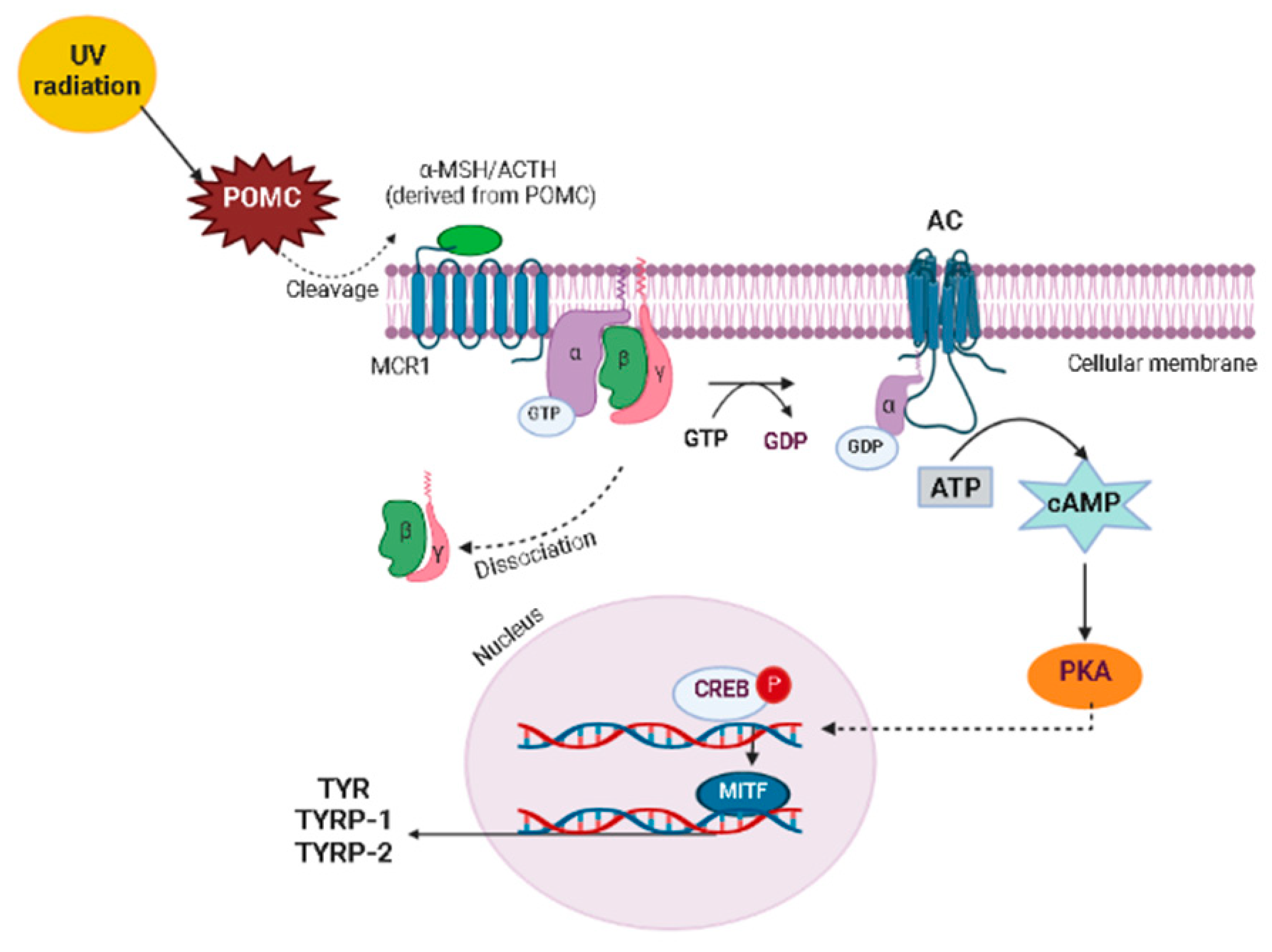 Molecules 27 07518 g005