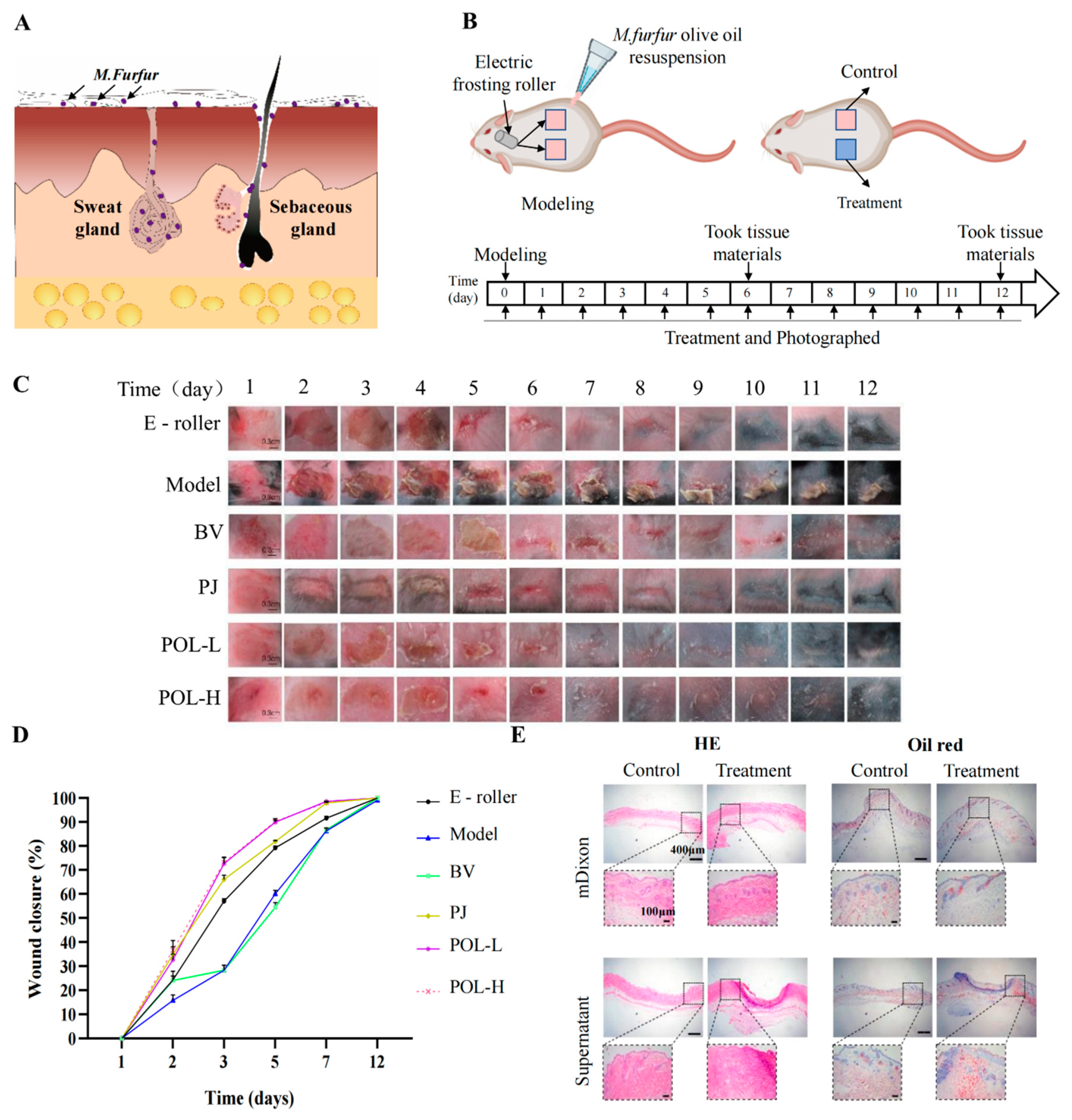 Molecules 27 07520 g002 Molecules 27 07520 g002