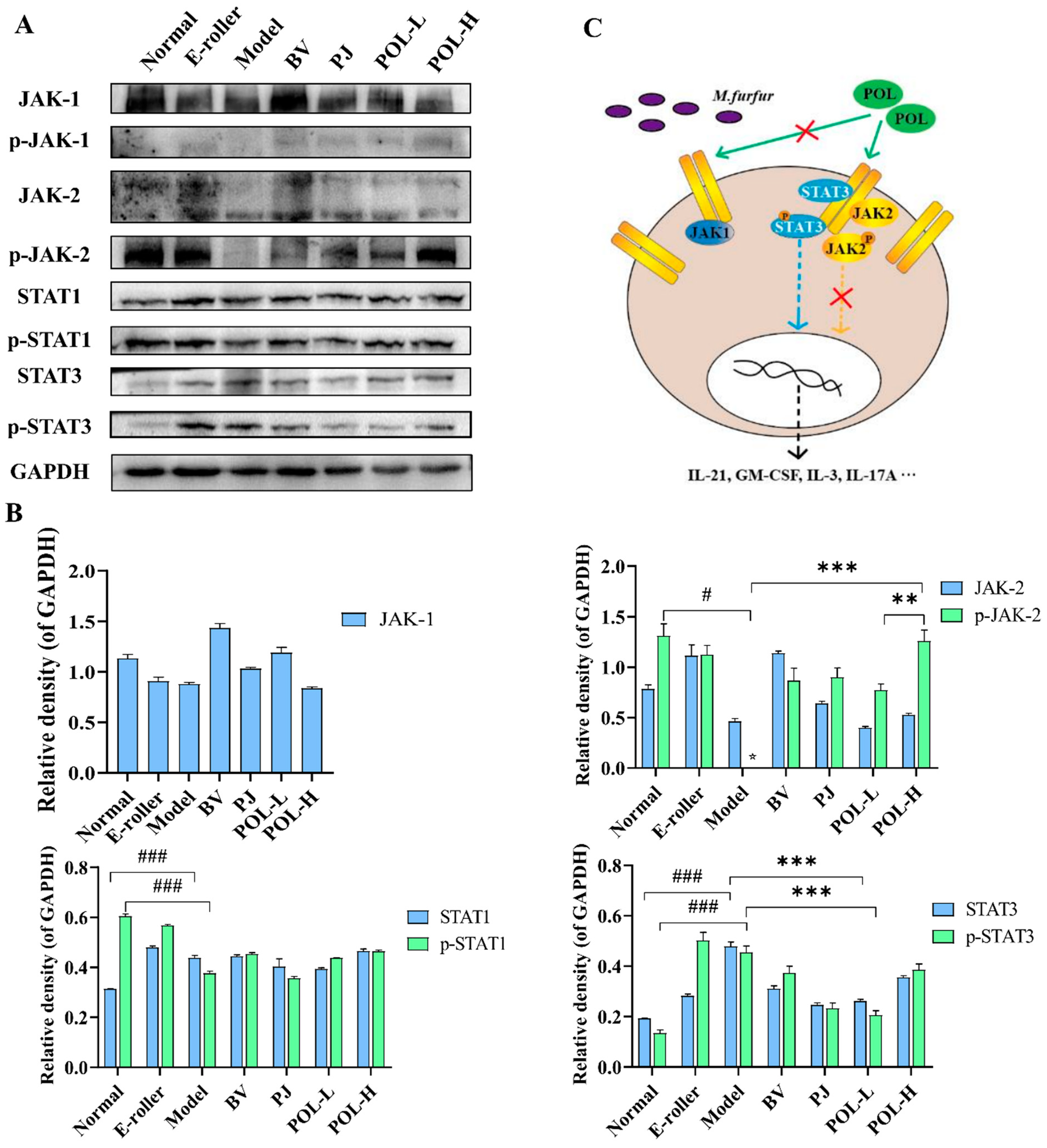 Molecules 27 07520 g006 Molecules 27 07520 g006