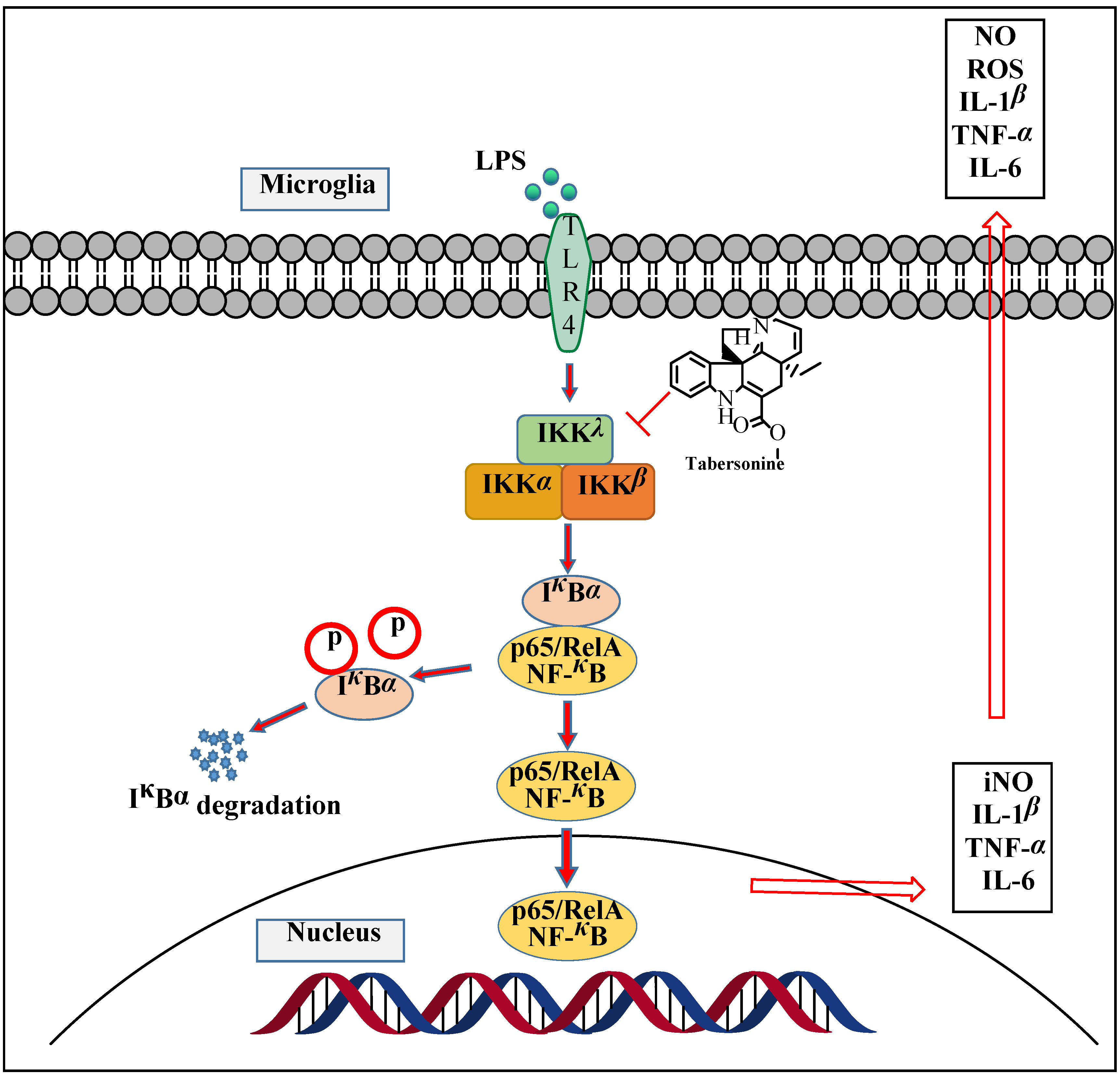 Molecules 27 07521 g006