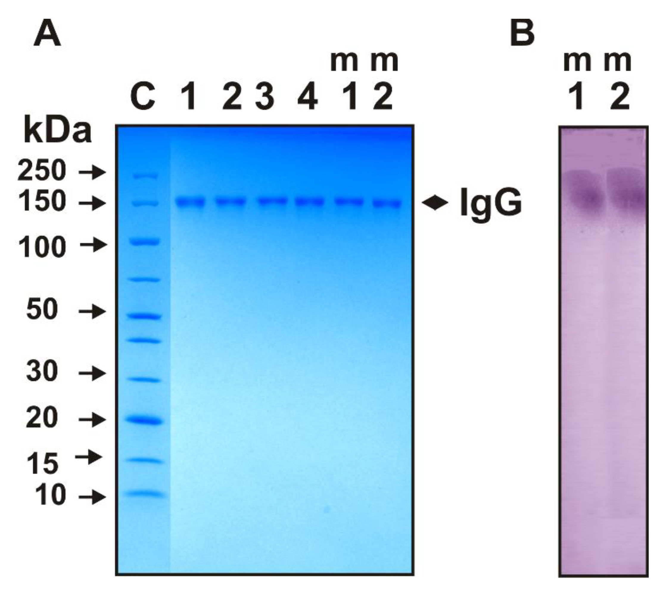 Molecules 27 07527 g001