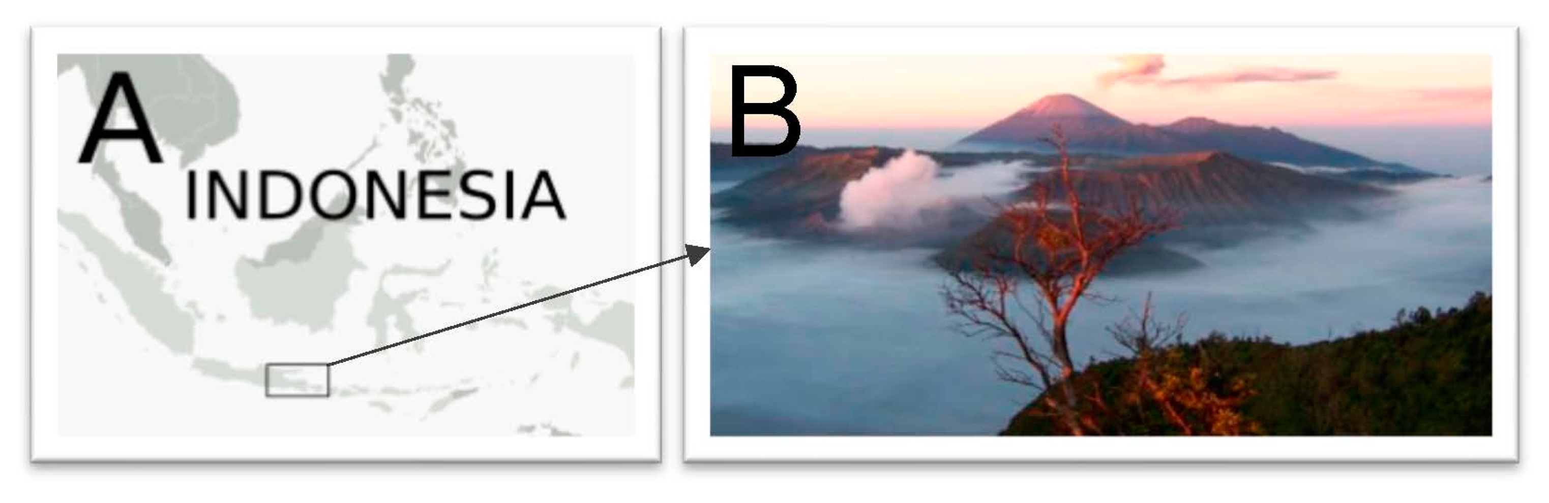 Molecules 27 07532 g001