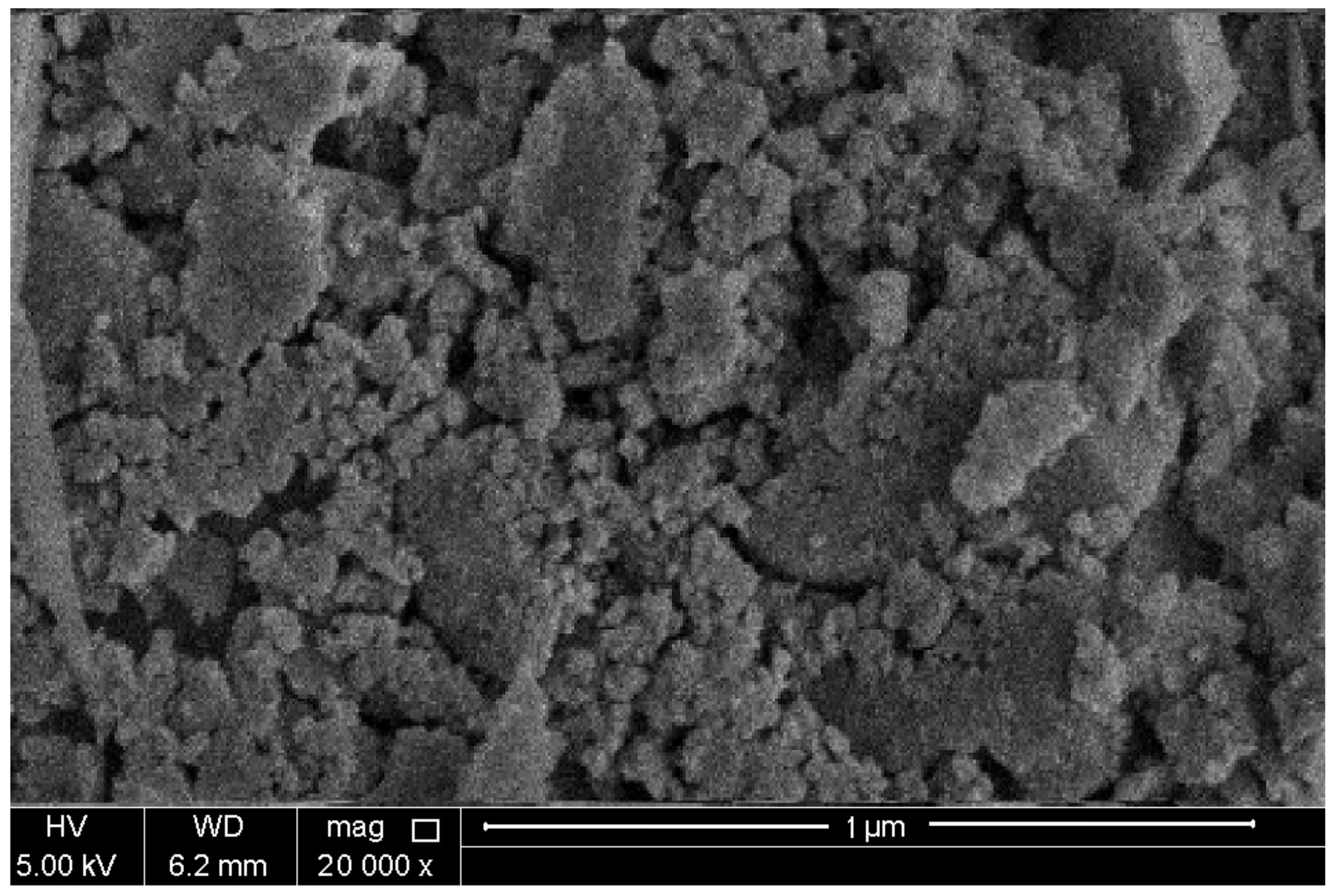 Molecules 27 07536 g005