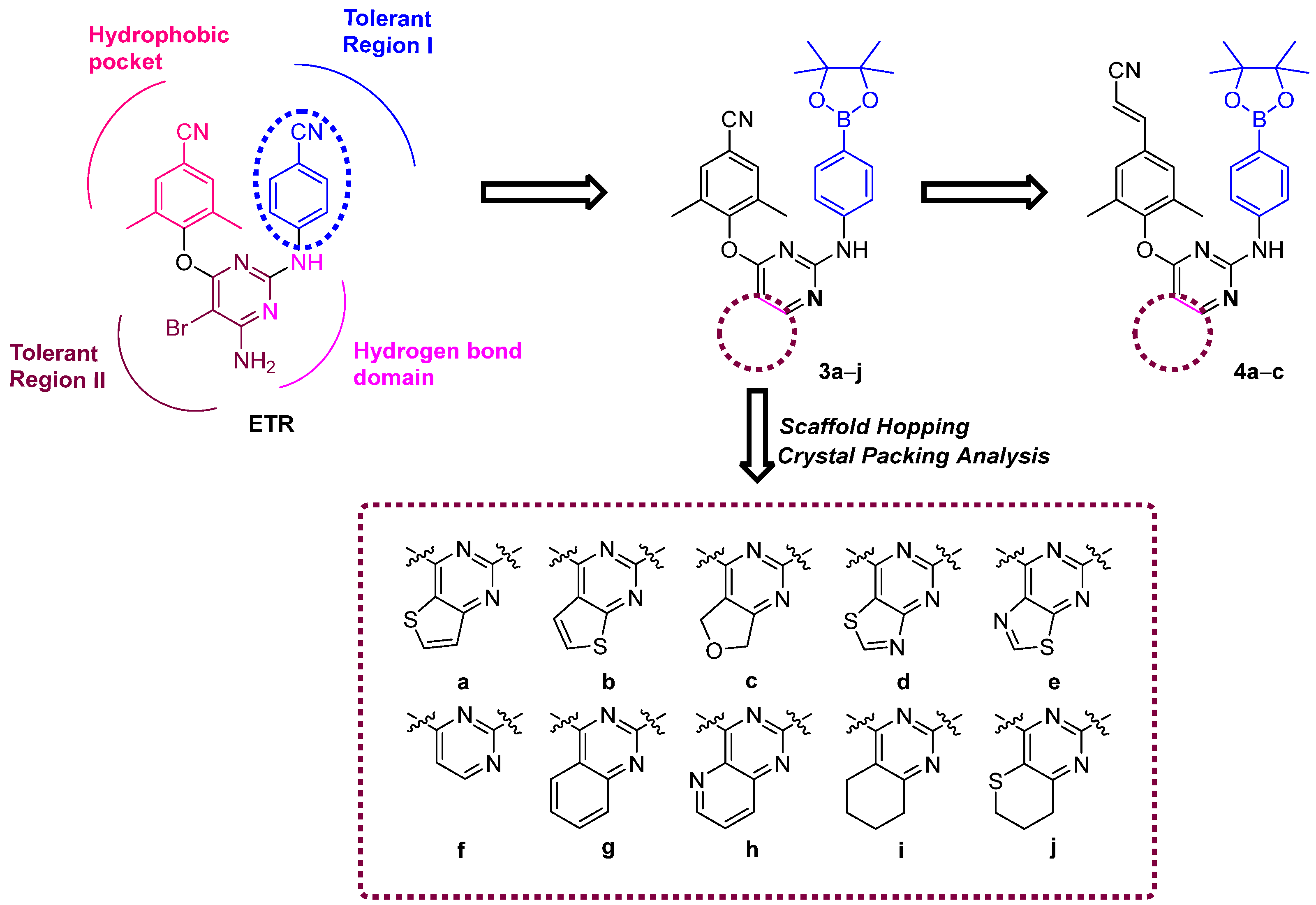 Molecules 27 07538 g002