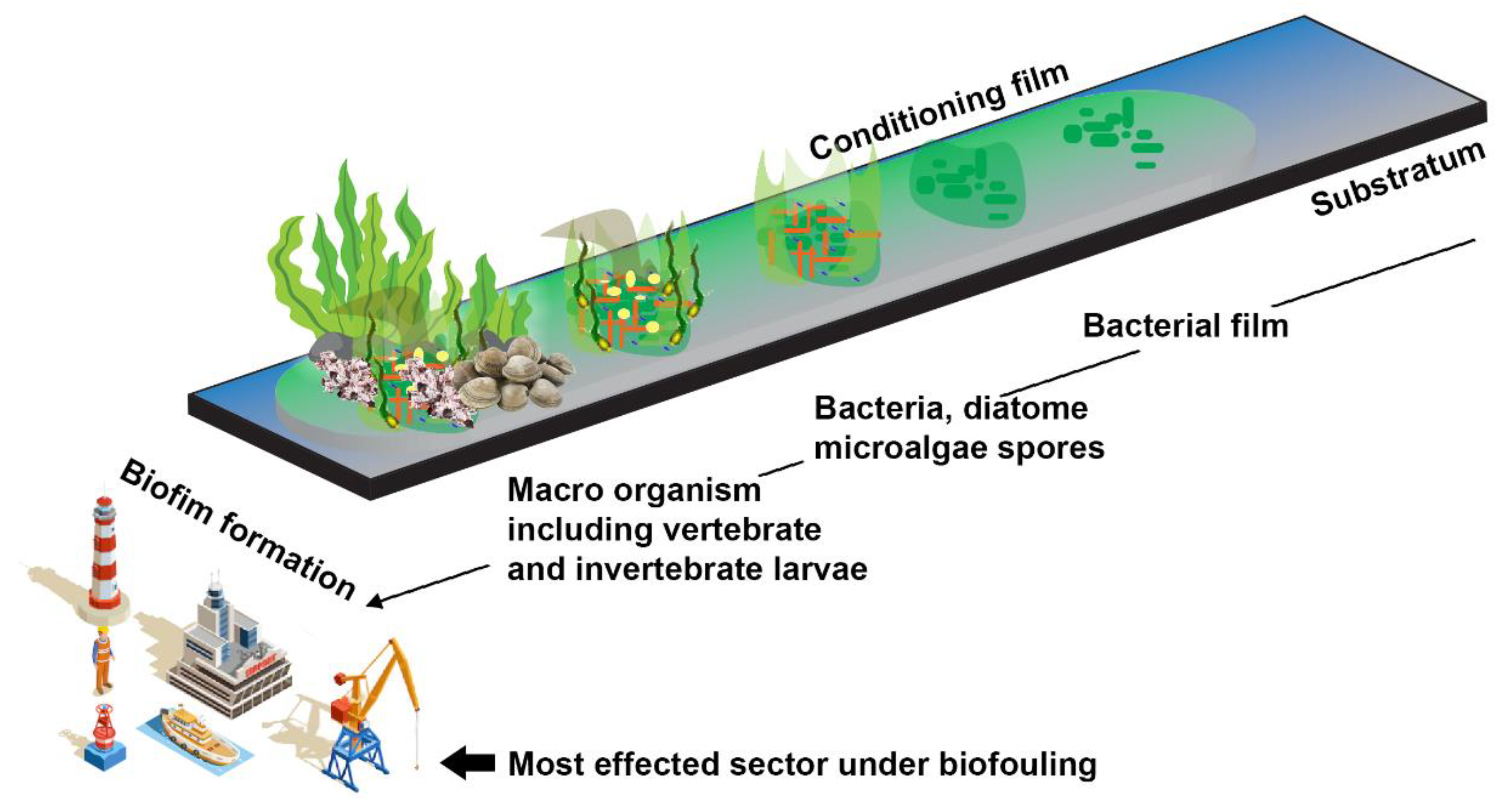 Molecules 27 07546 g002