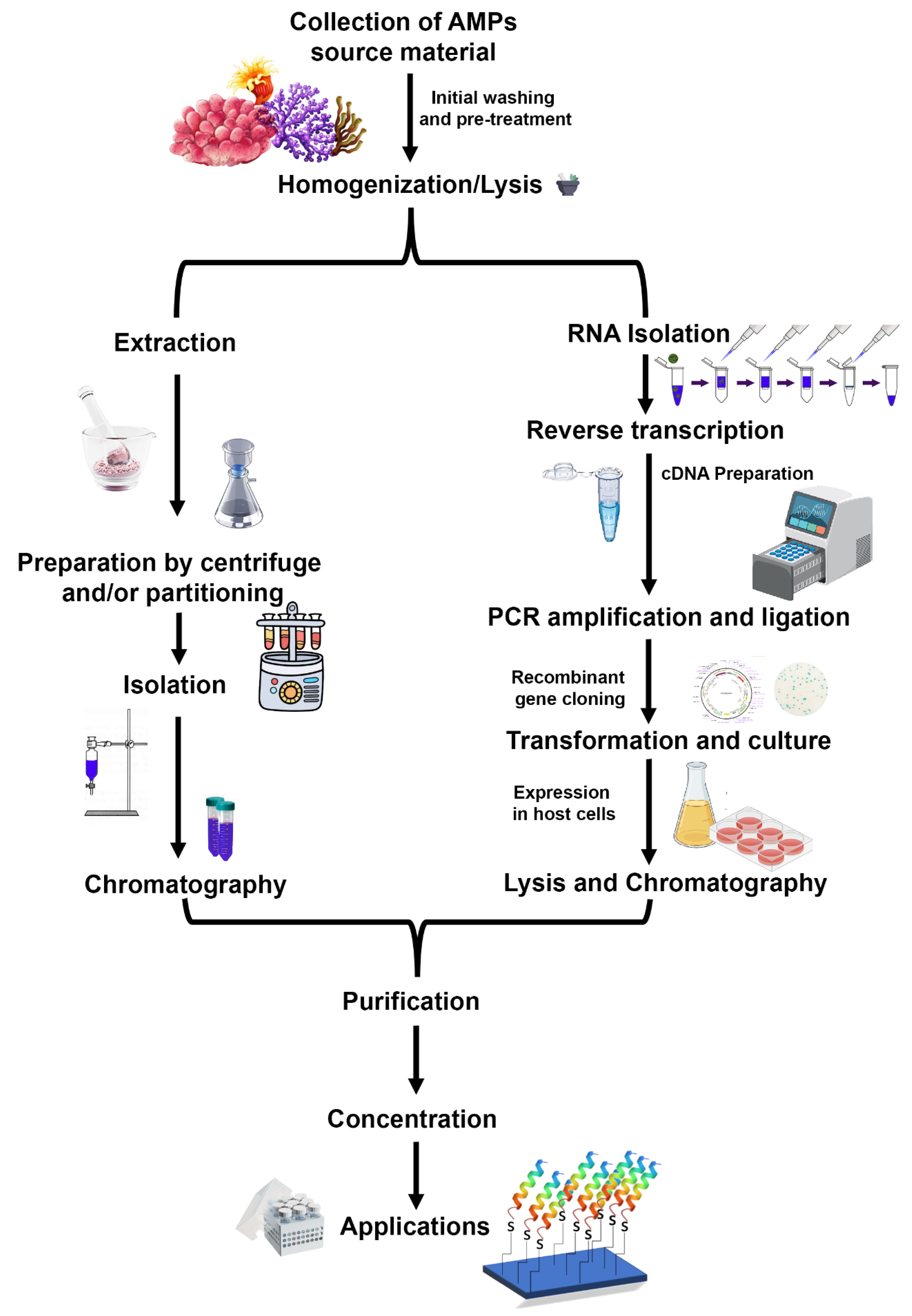 Molecules 27 07546 g005