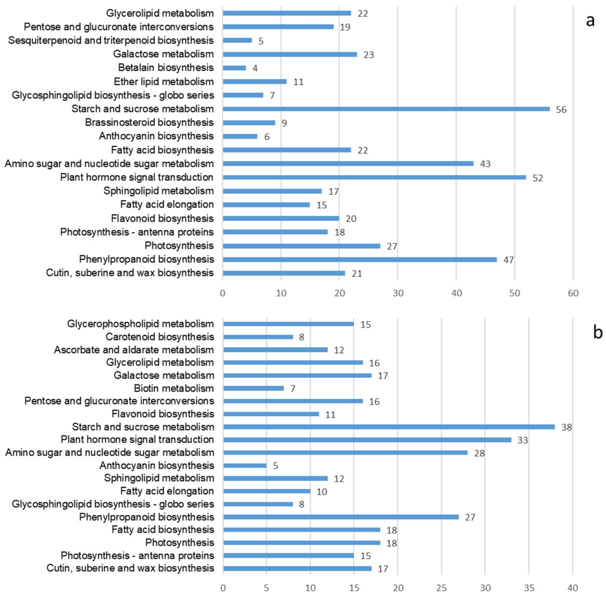 Molecules 27 07548 g004 Molecules 27 07548 g004