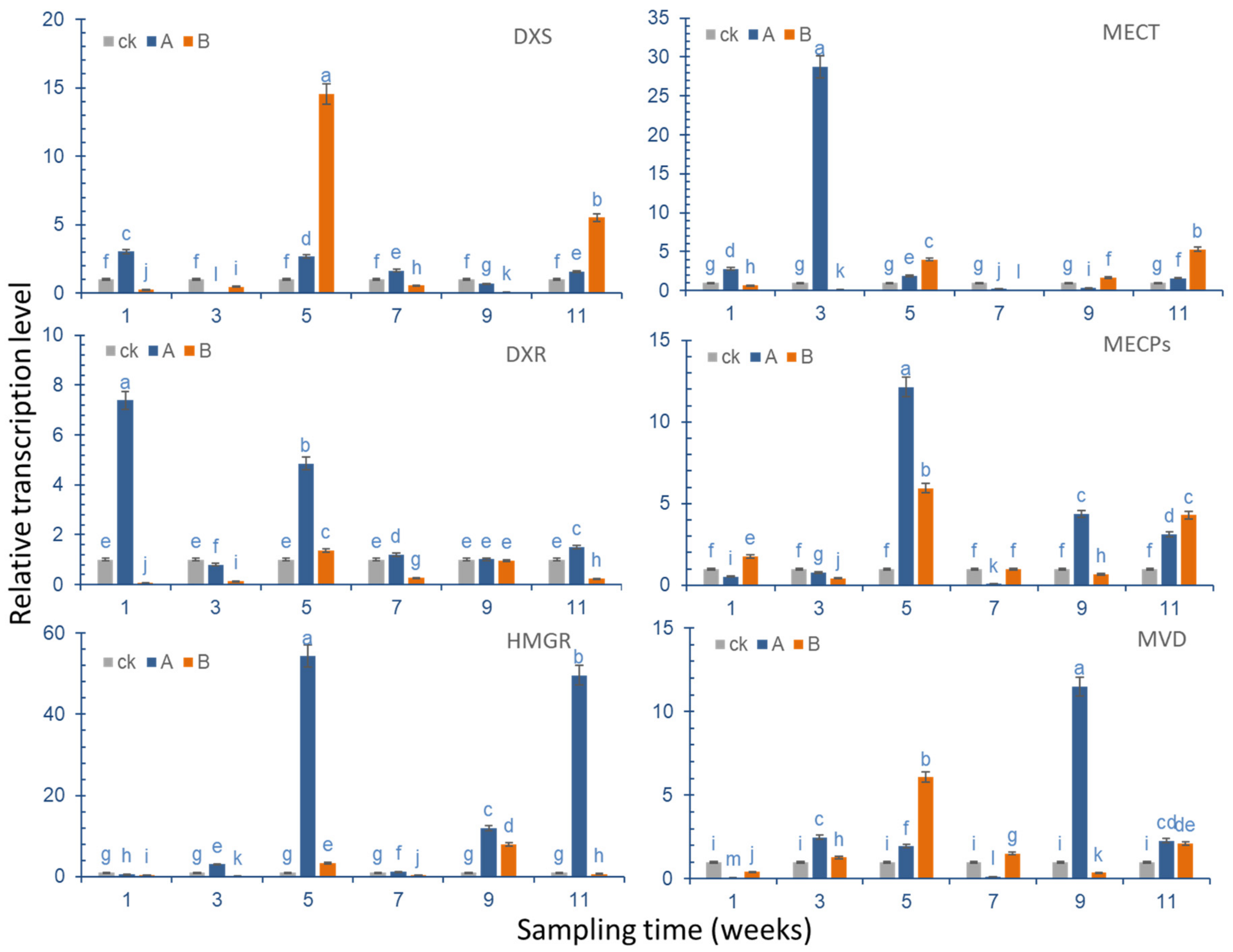 Molecules 27 07548 g009 Molecules 27 07548 g009