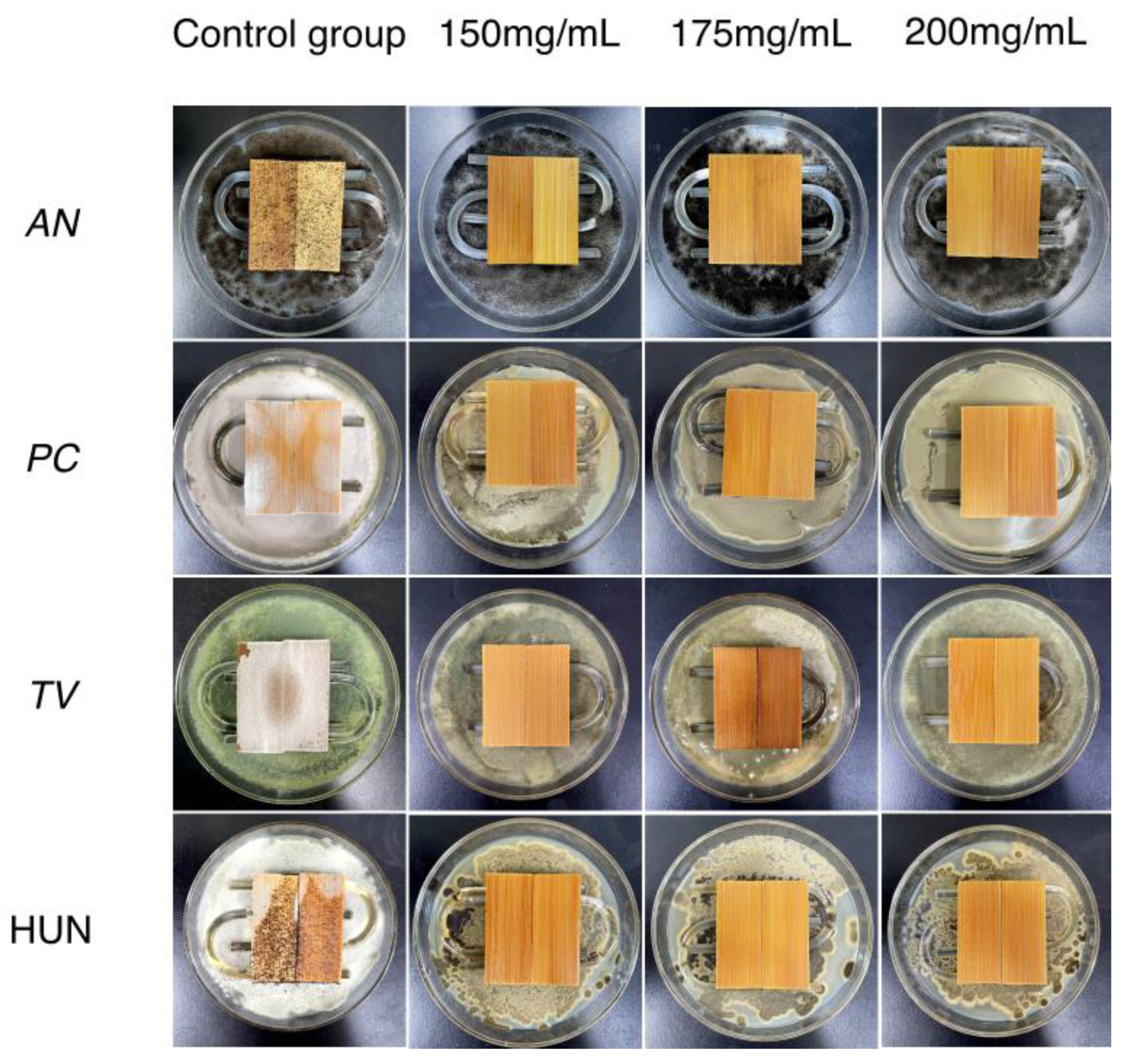 Molecules 27 07549 g004