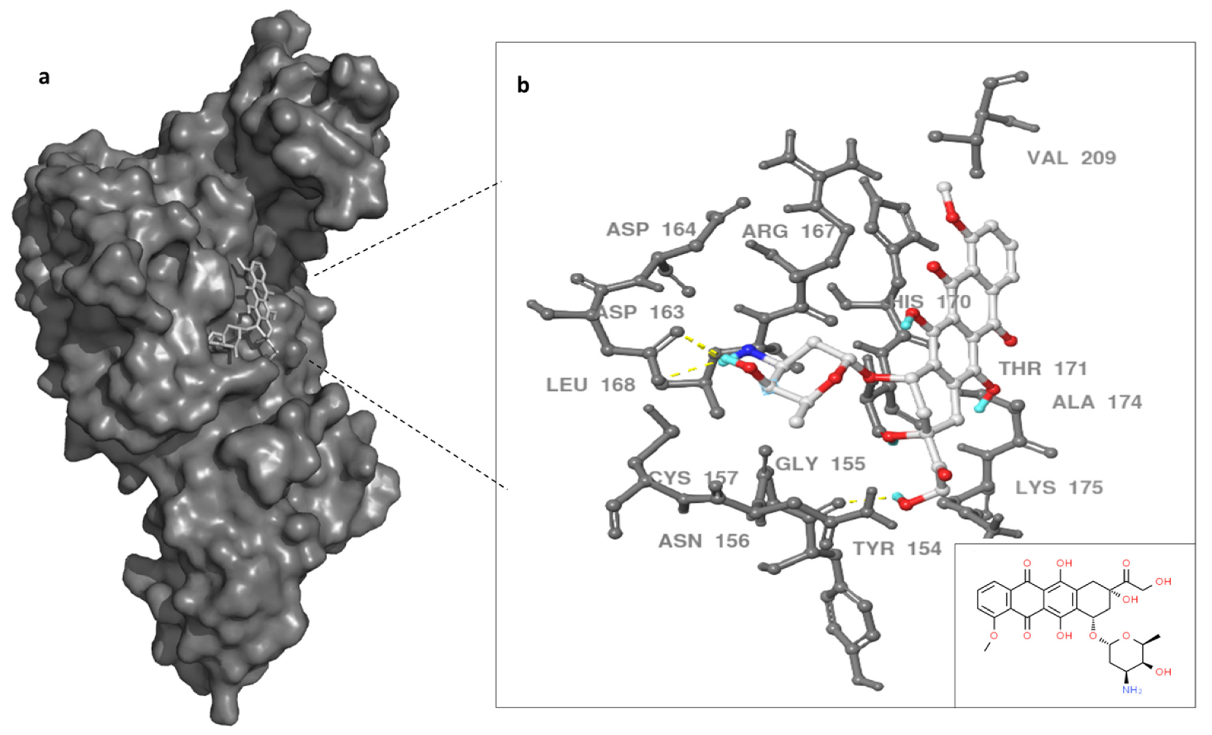 Molecules 27 07553 g004