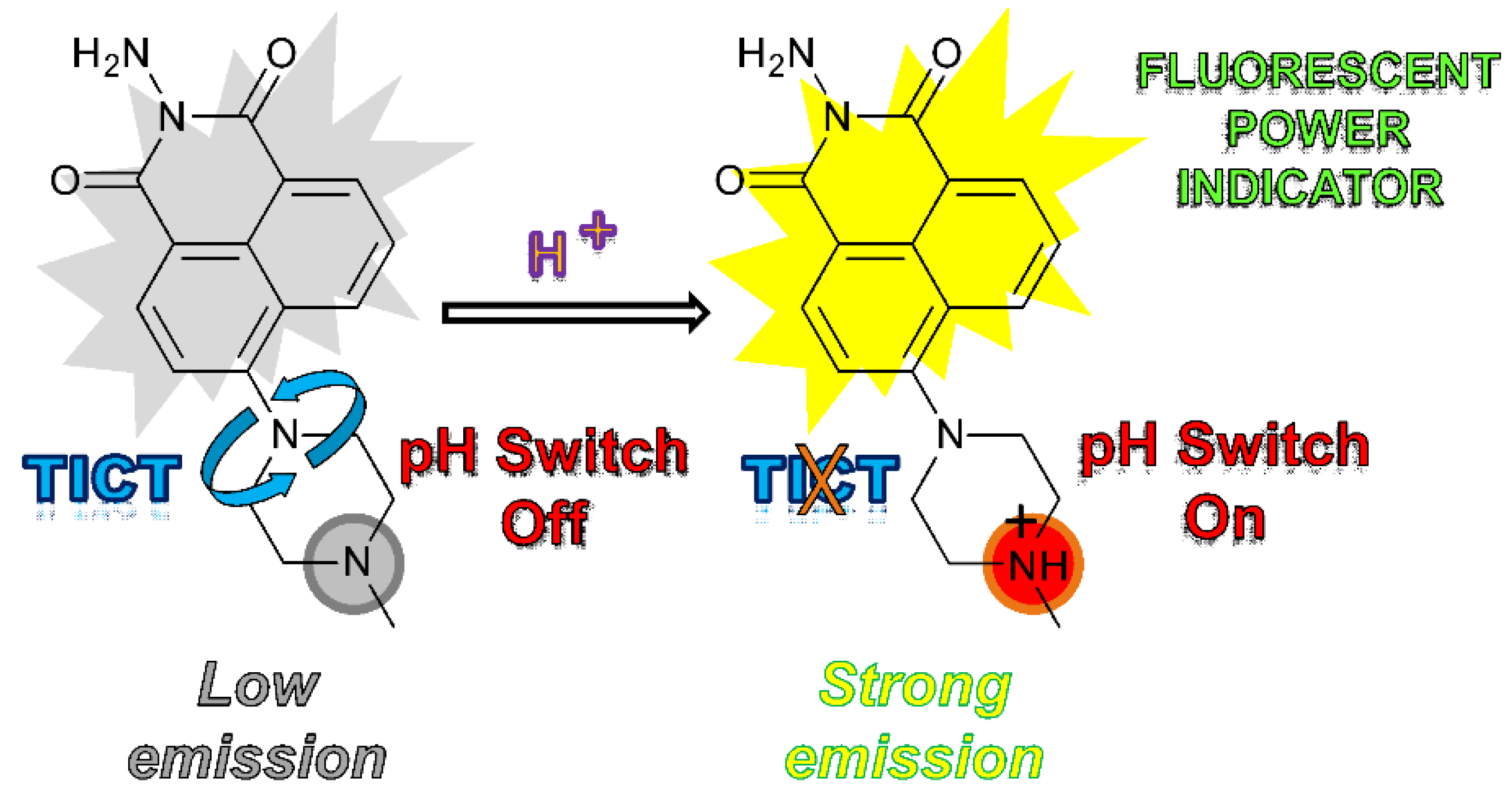 Molecules 27 07556 sch003