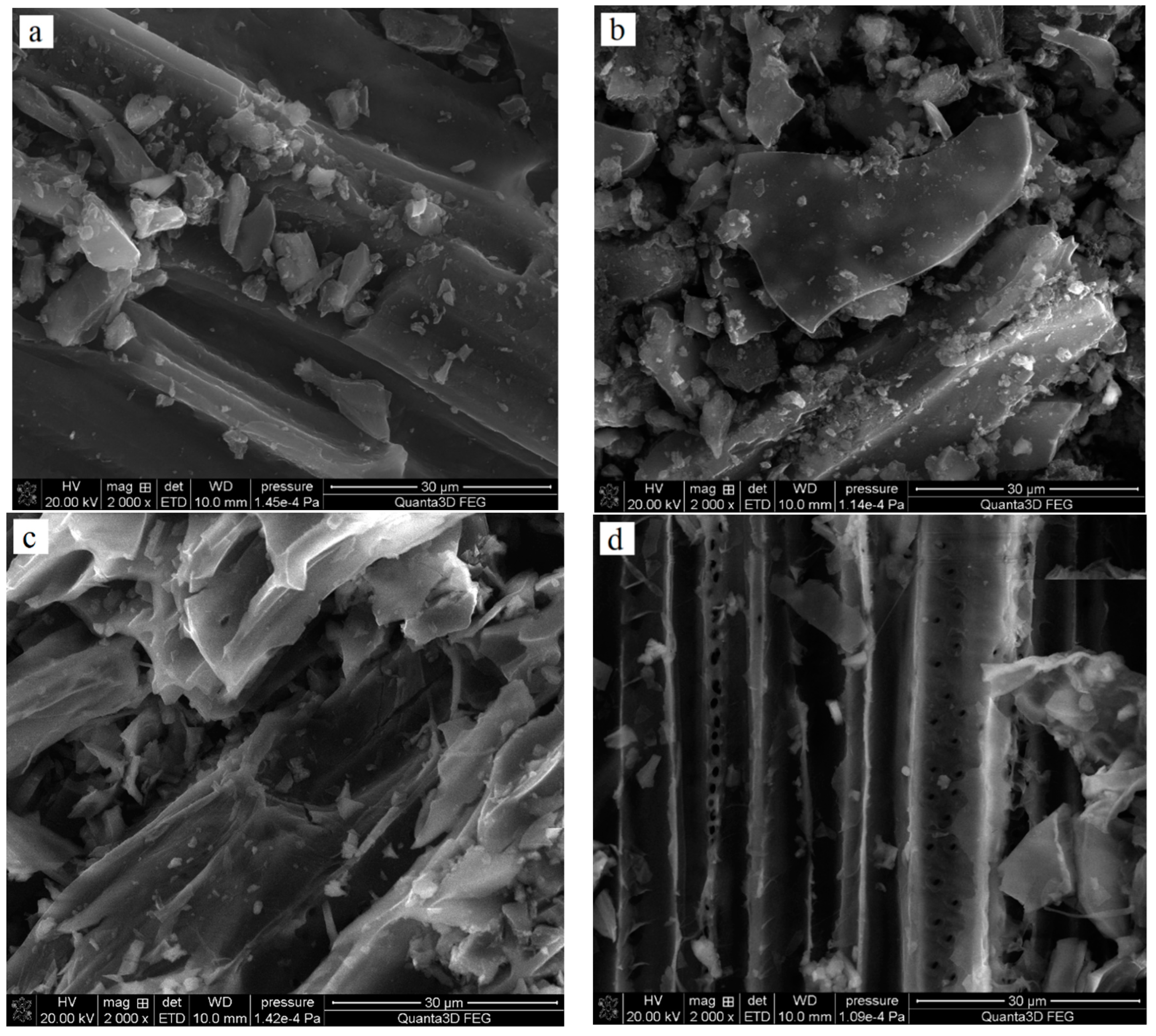 Molecules 27 07557 g001