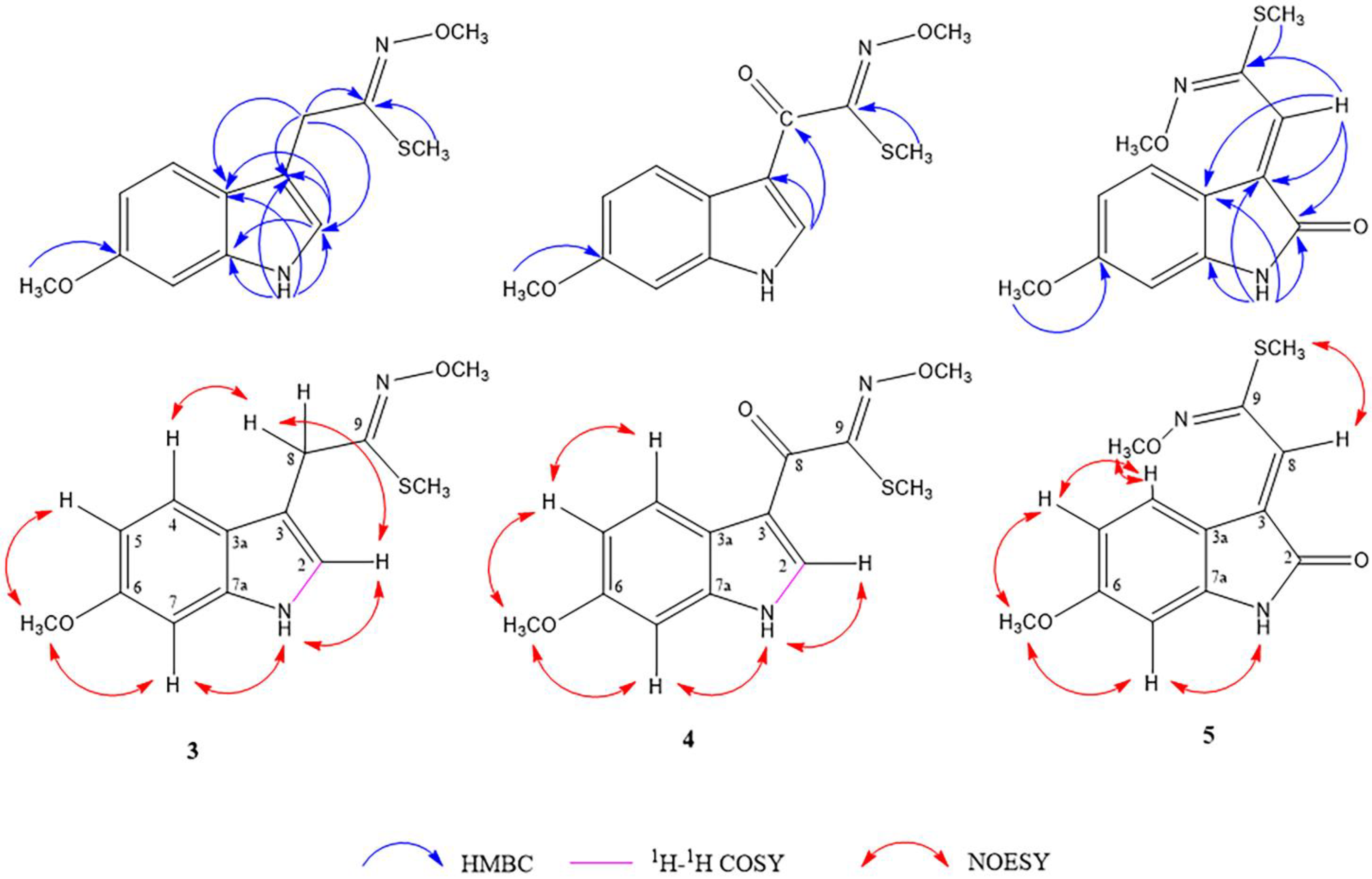 Molecules 27 07558 g002