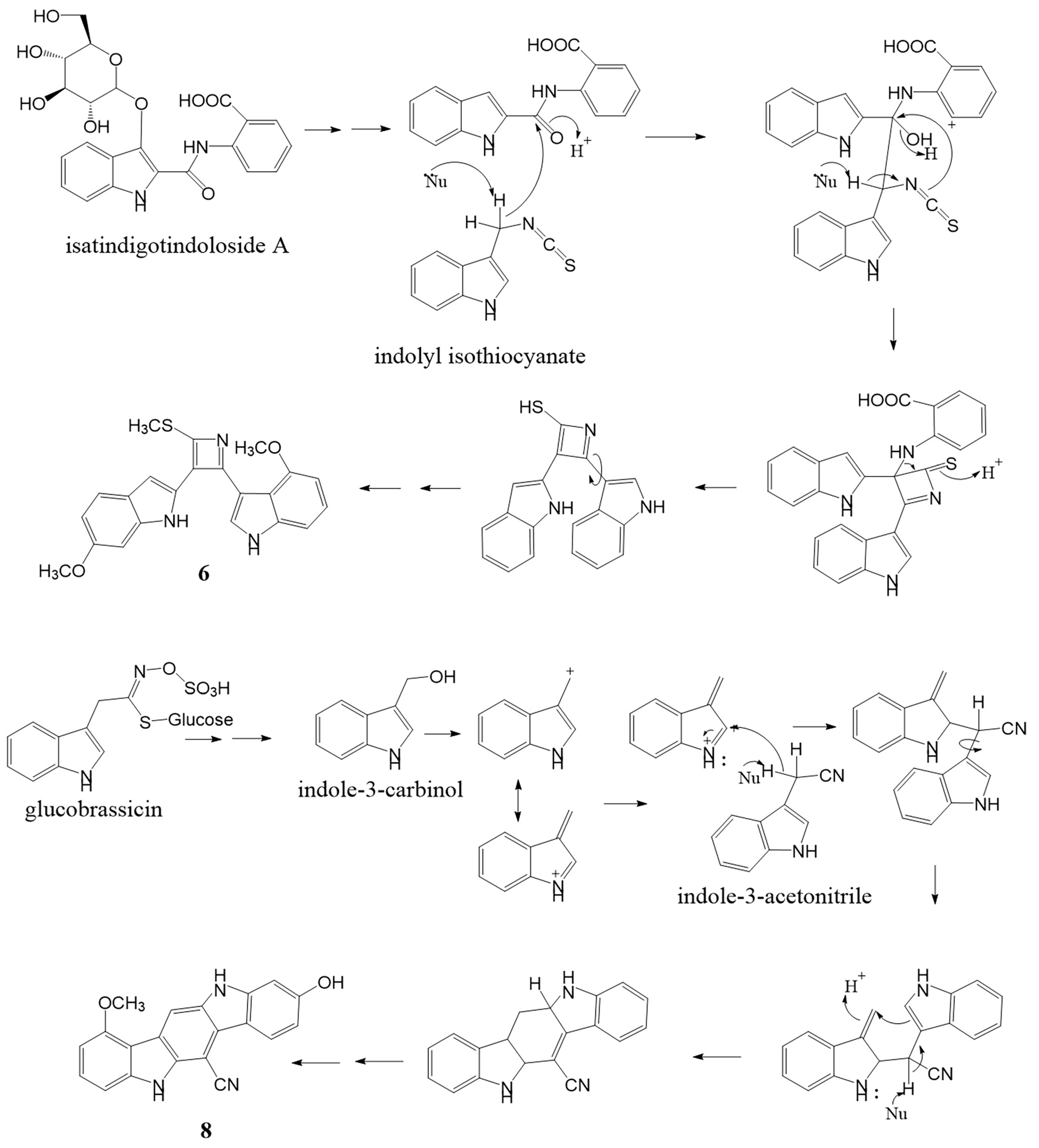 Molecules 27 07558 g004