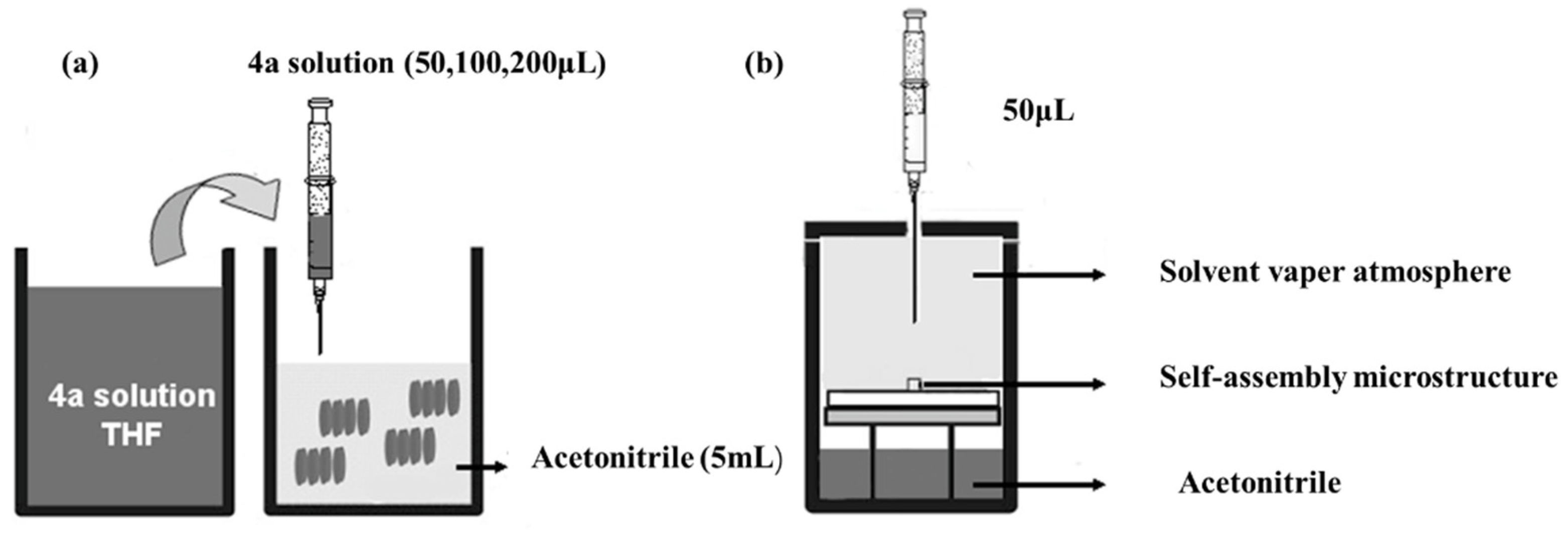 Molecules 27 07559 g003