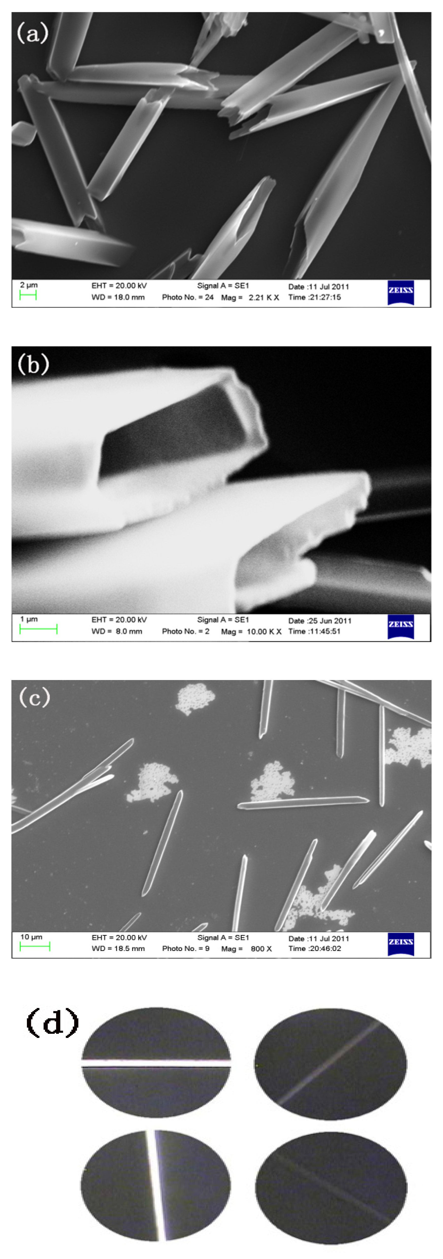 Molecules 27 07559 g004