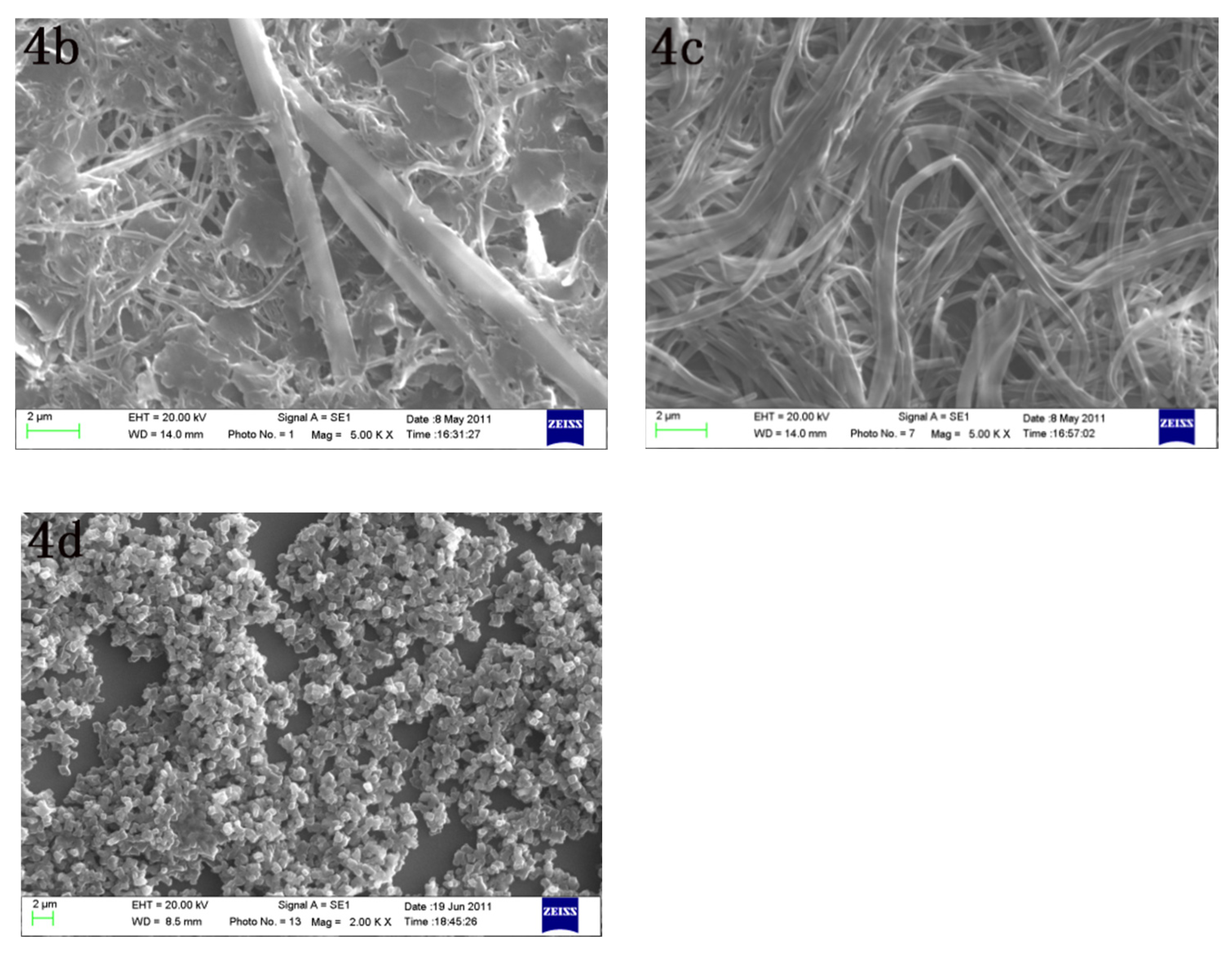 Molecules 27 07559 g005