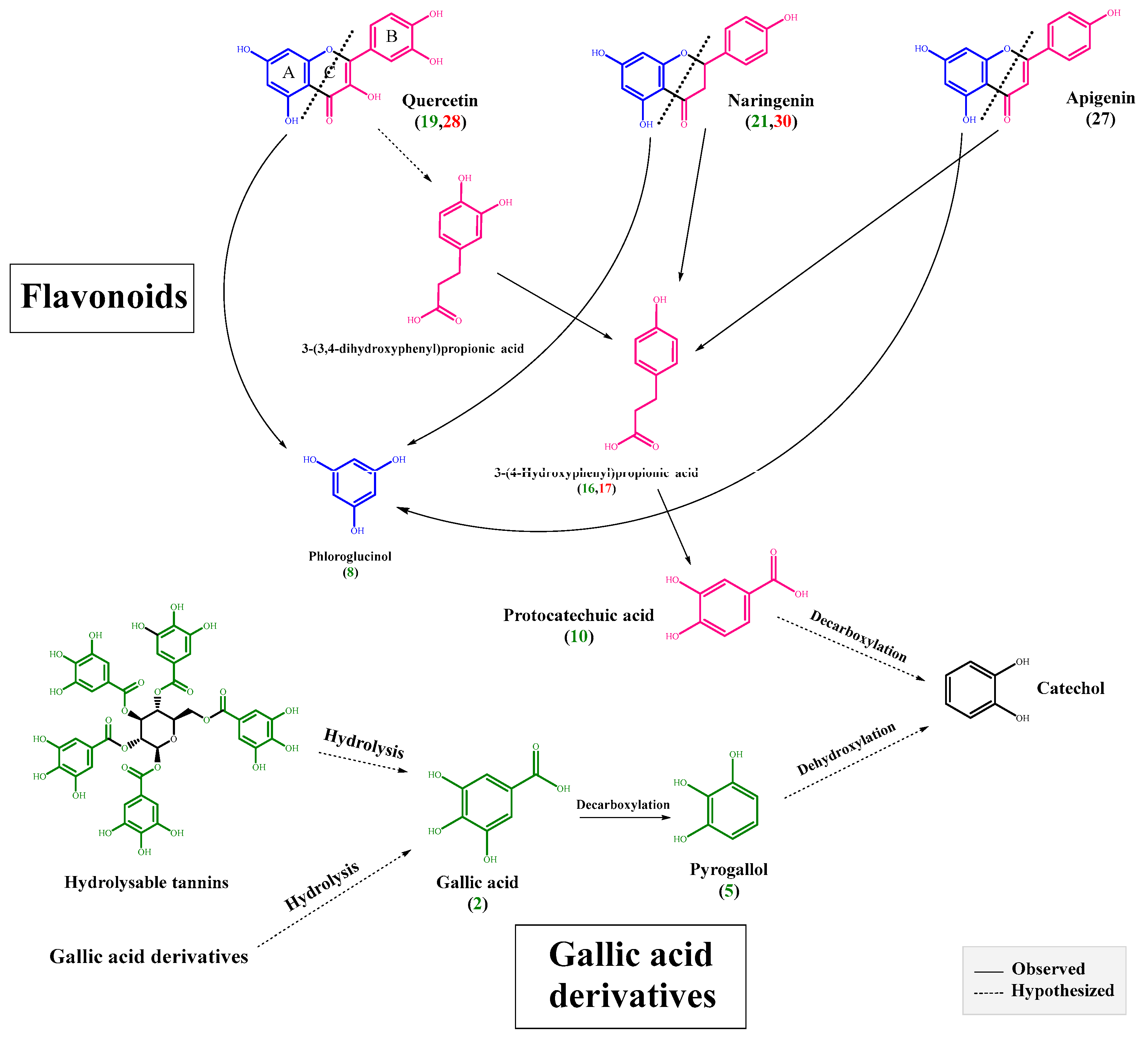 Molecules 27 07568 g003