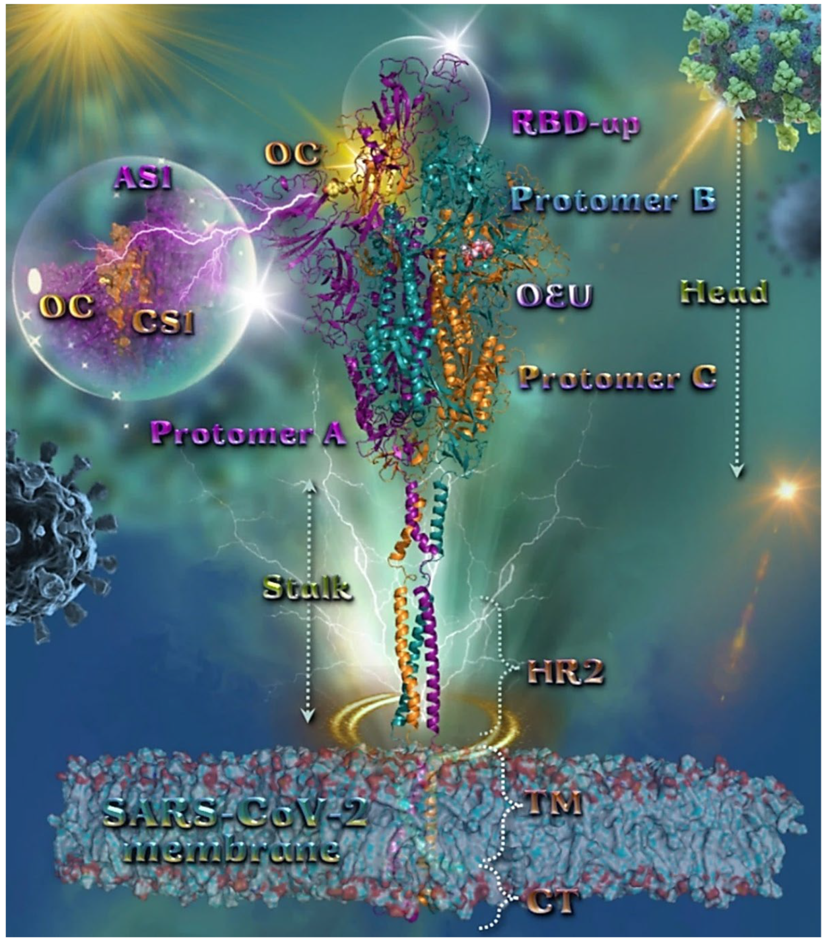 Molecules 27 07572 g002