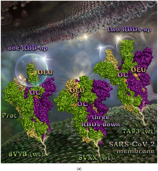 Molecules 27 07572 g003a