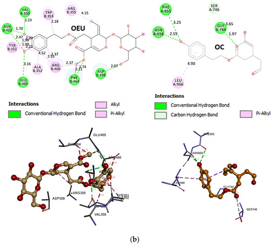 Molecules 27 07572 g003b