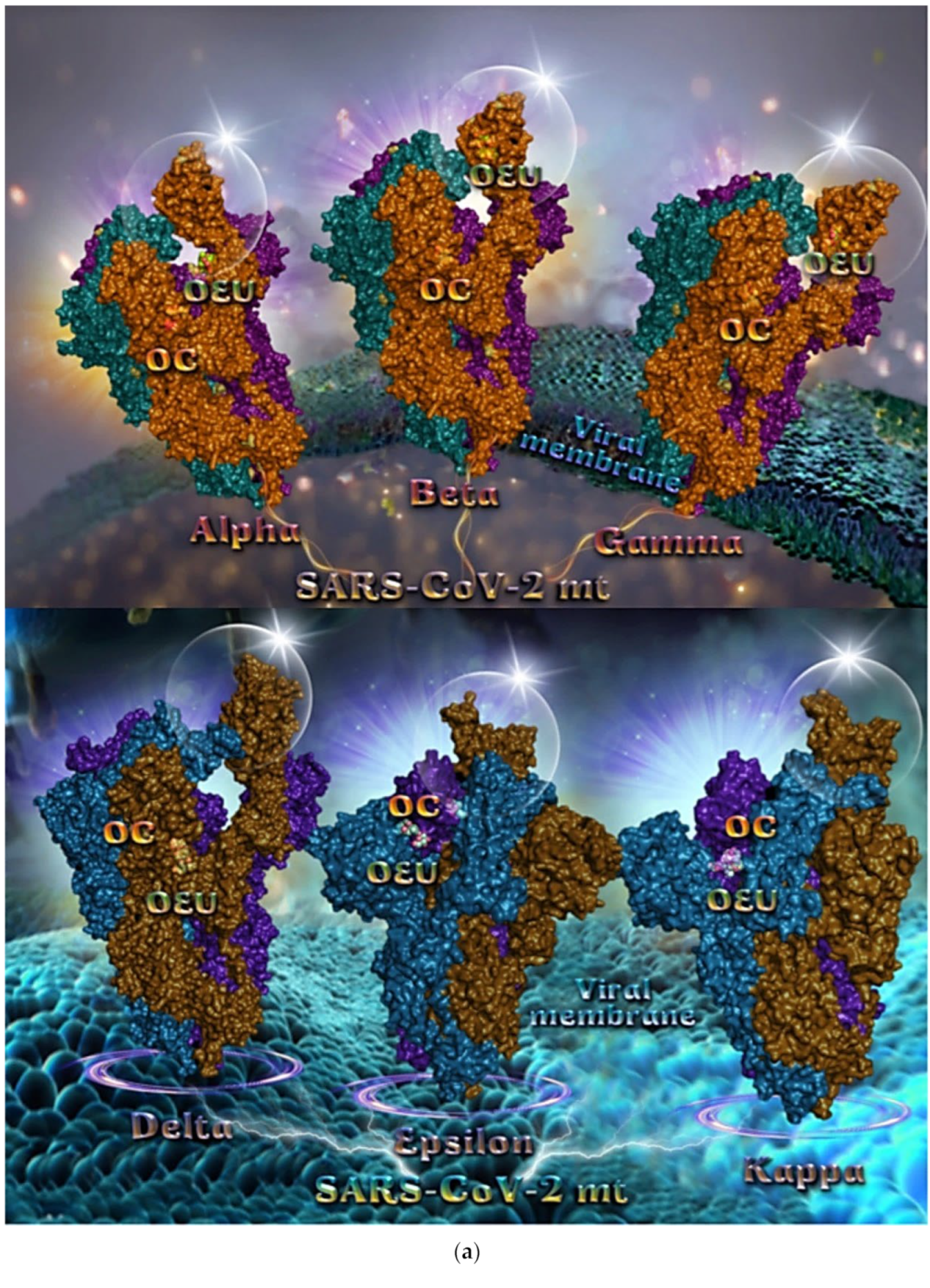 Molecules 27 07572 g005a