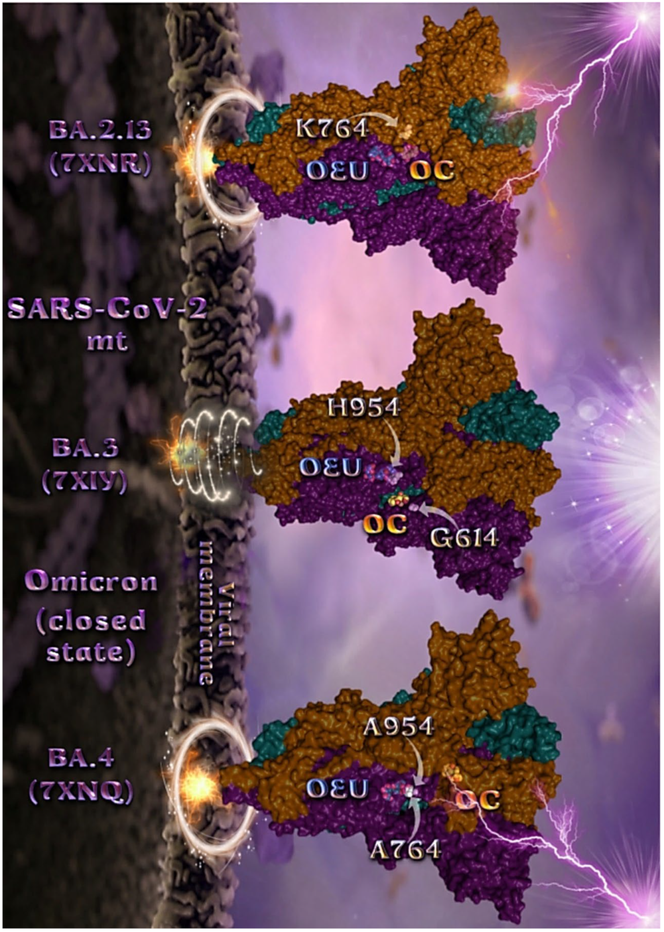 Molecules 27 07572 g007