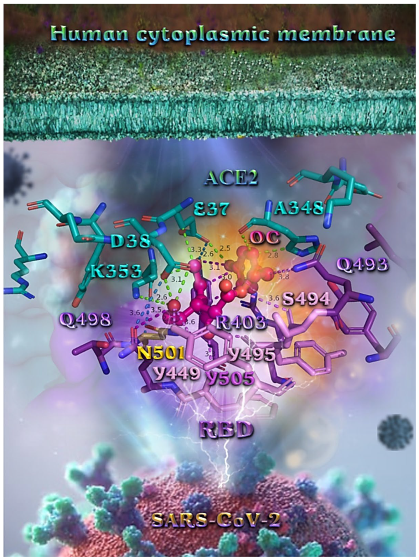 Molecules 27 07572 g012