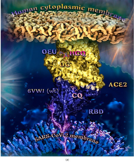 Molecules 27 07572 g014a