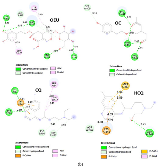 Molecules 27 07572 g014b