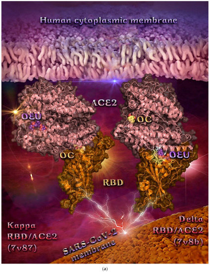 Molecules 27 07572 g015a