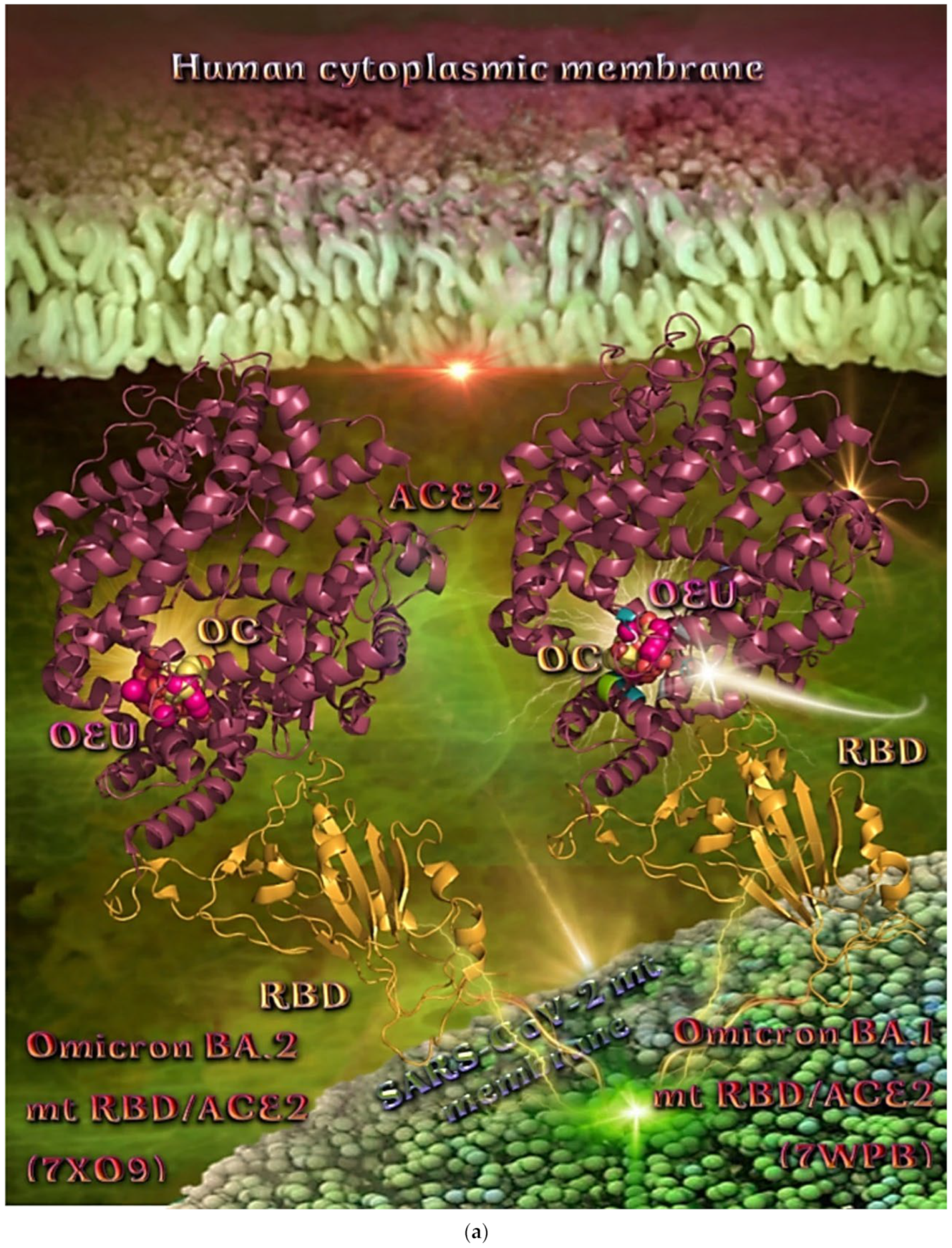 Molecules 27 07572 g016a