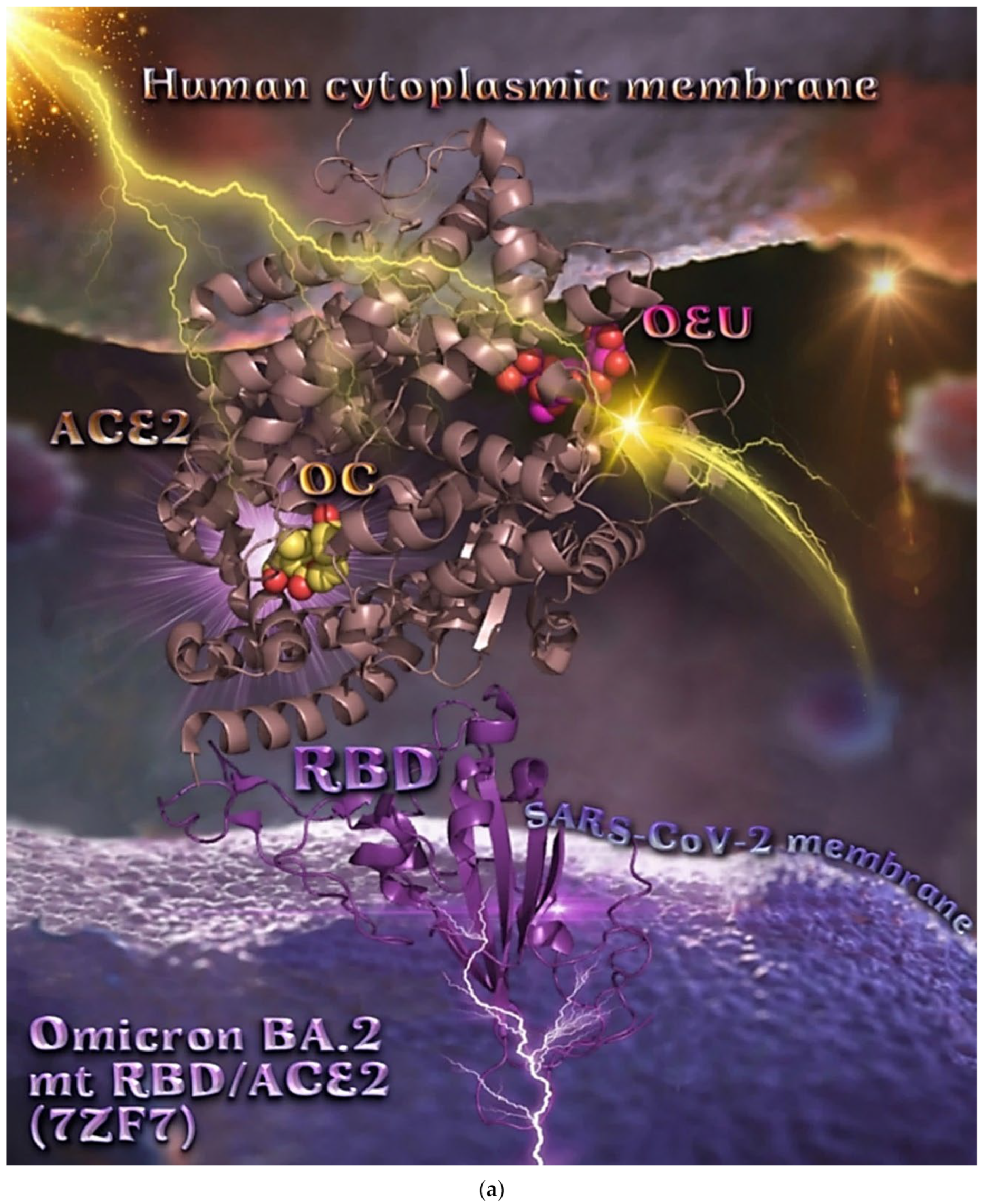 Molecules 27 07572 g017a