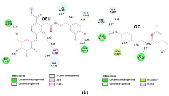 Molecules 27 07572 g017b