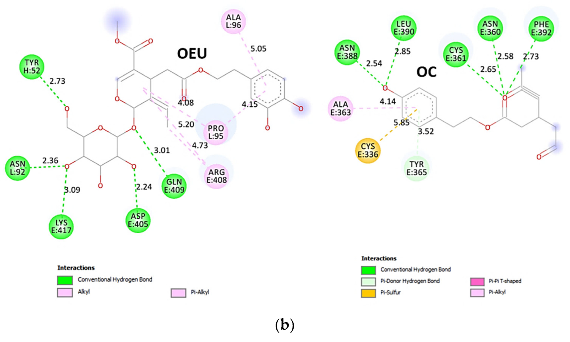 Molecules 27 07572 g019b