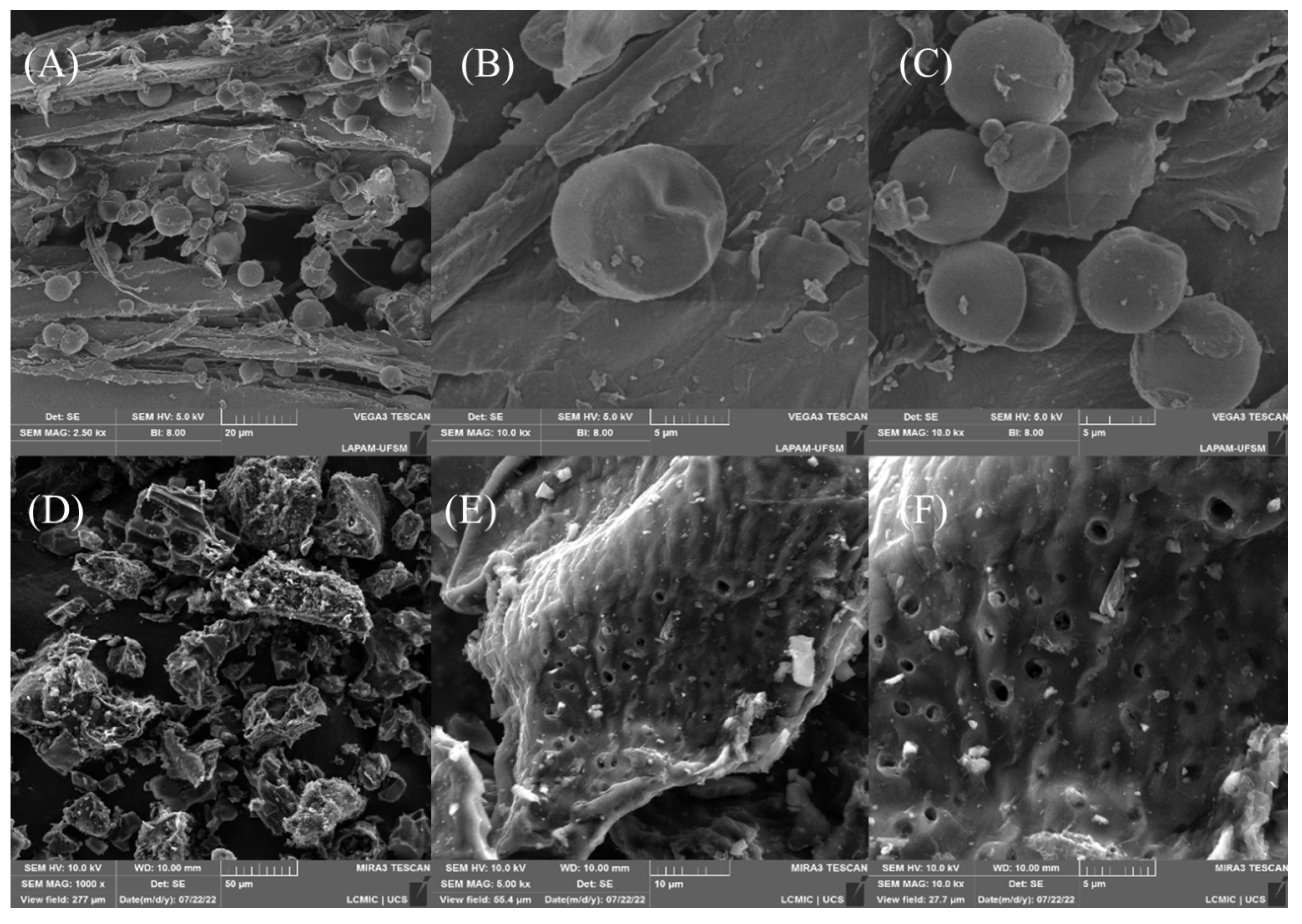 Molecules 27 07574 g002