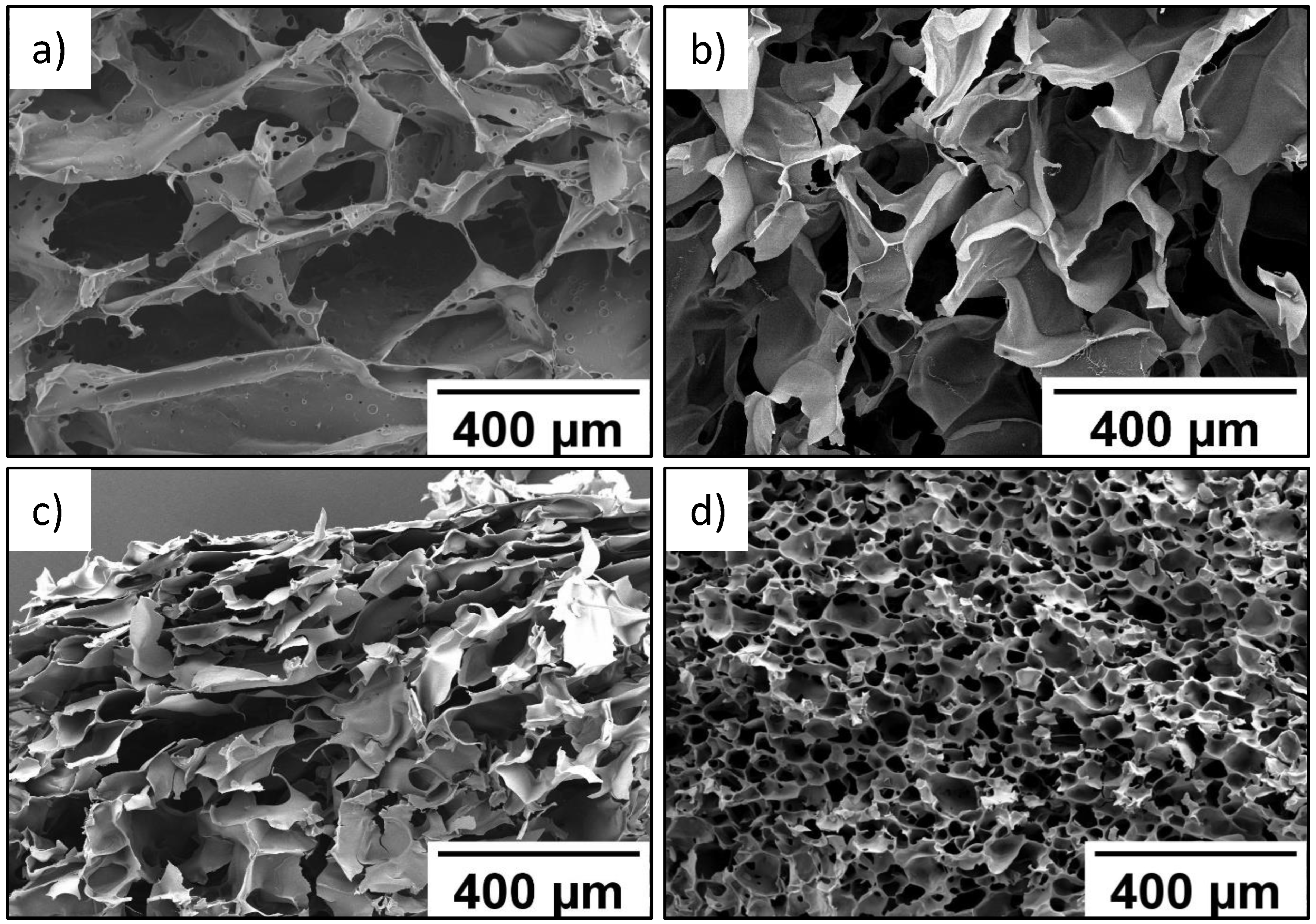 Molecules 27 07576 g001