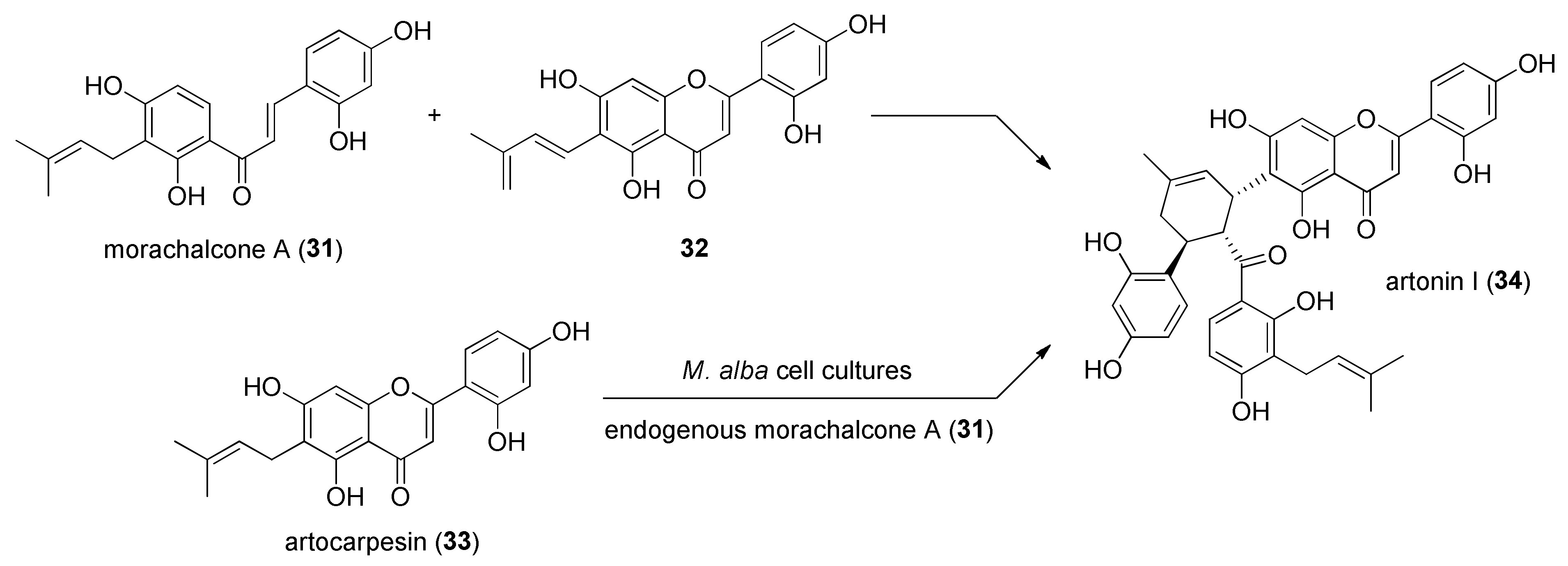 Molecules 27 07580 g009 Molecules 27 07580 g009