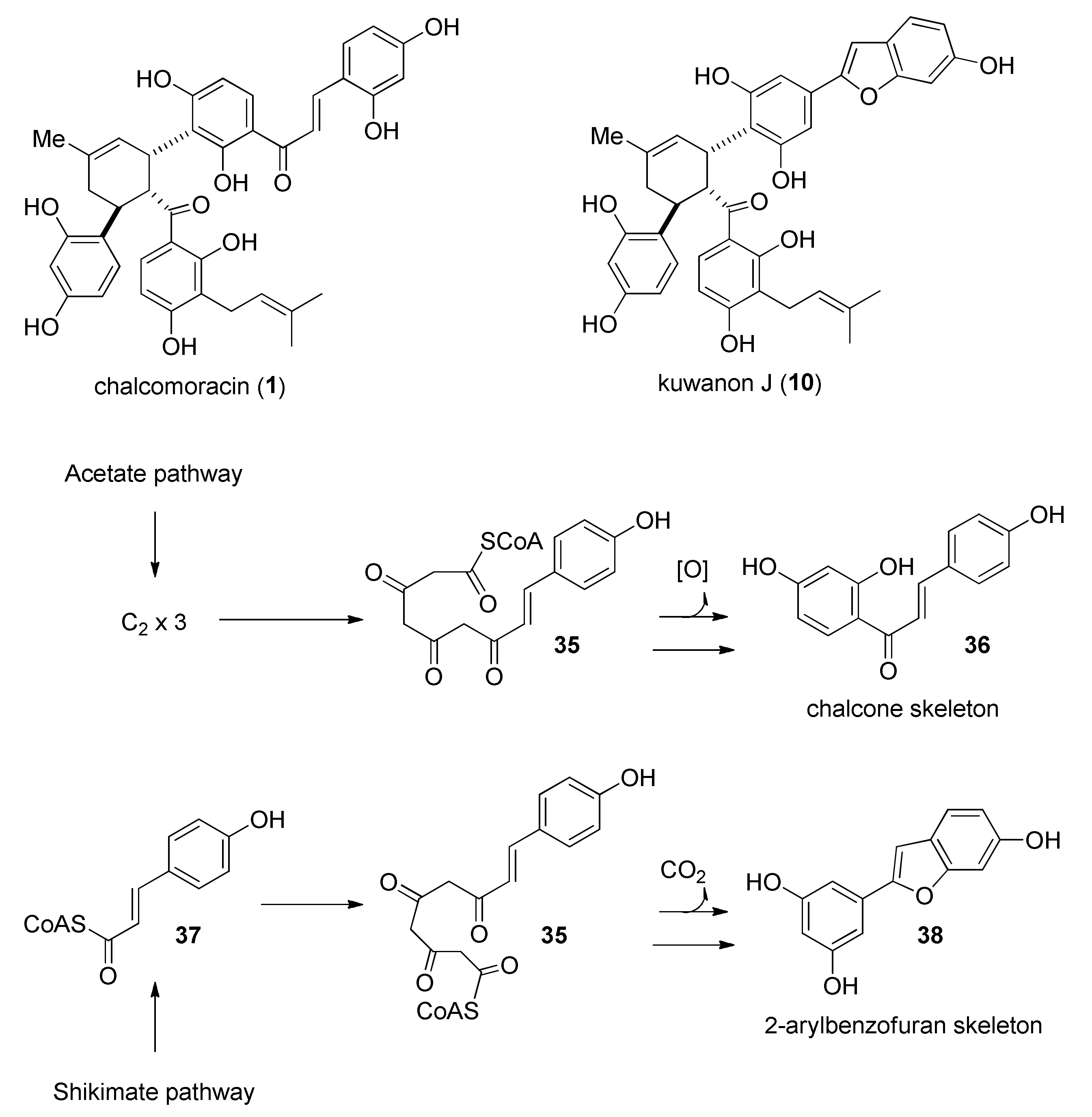 Molecules 27 07580 g010 Molecules 27 07580 g010