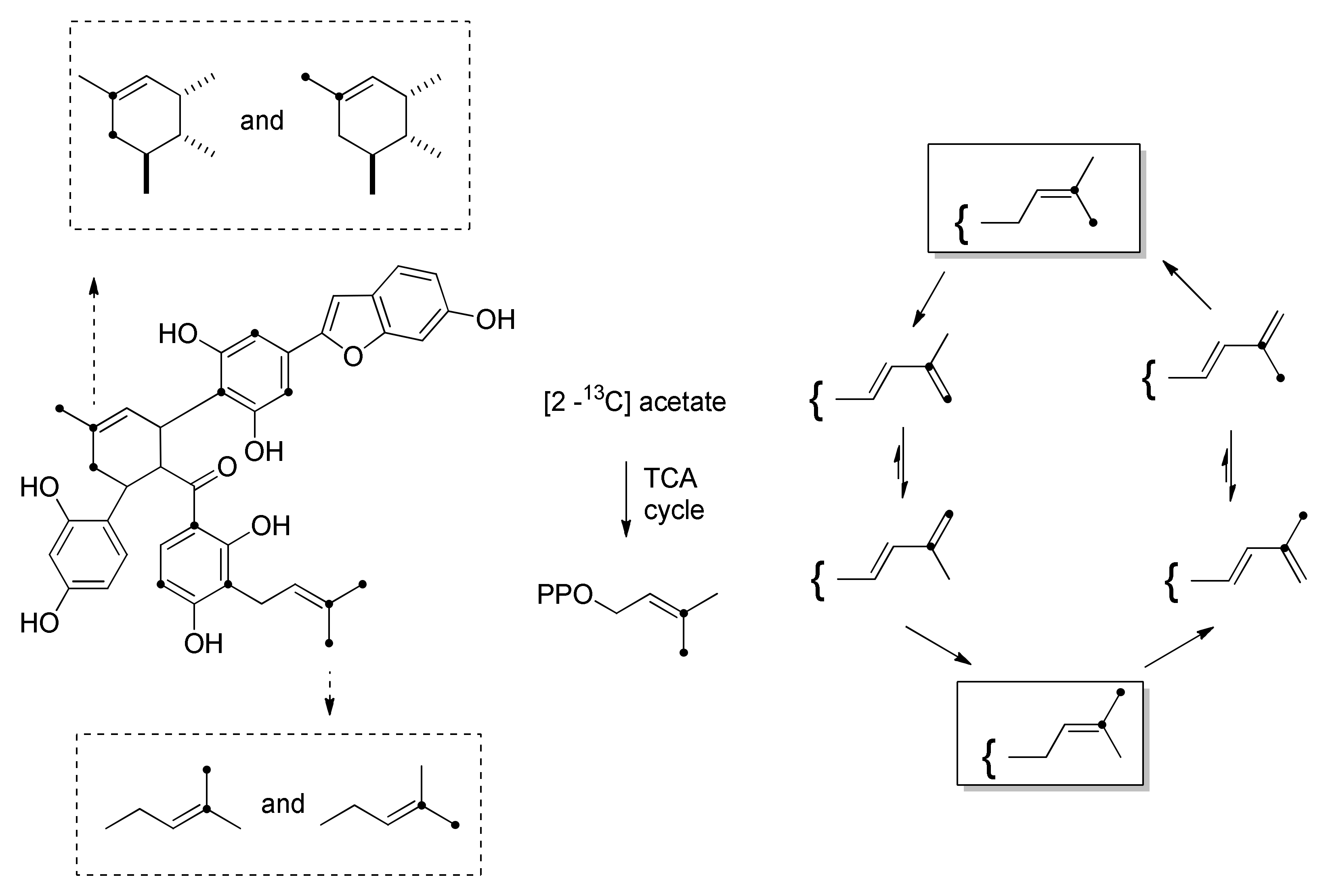 Molecules 27 07580 g011 Molecules 27 07580 g011