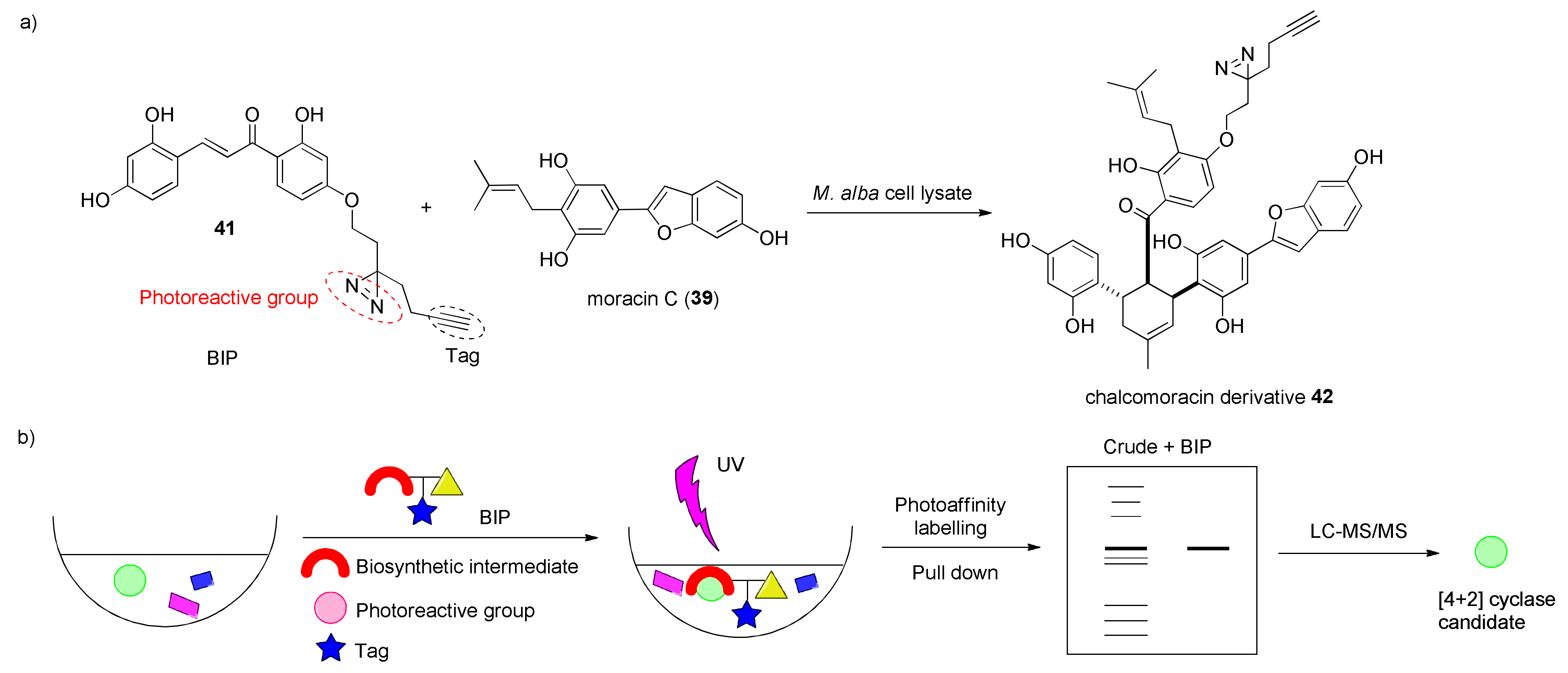 Molecules 27 07580 g013 Molecules 27 07580 g013