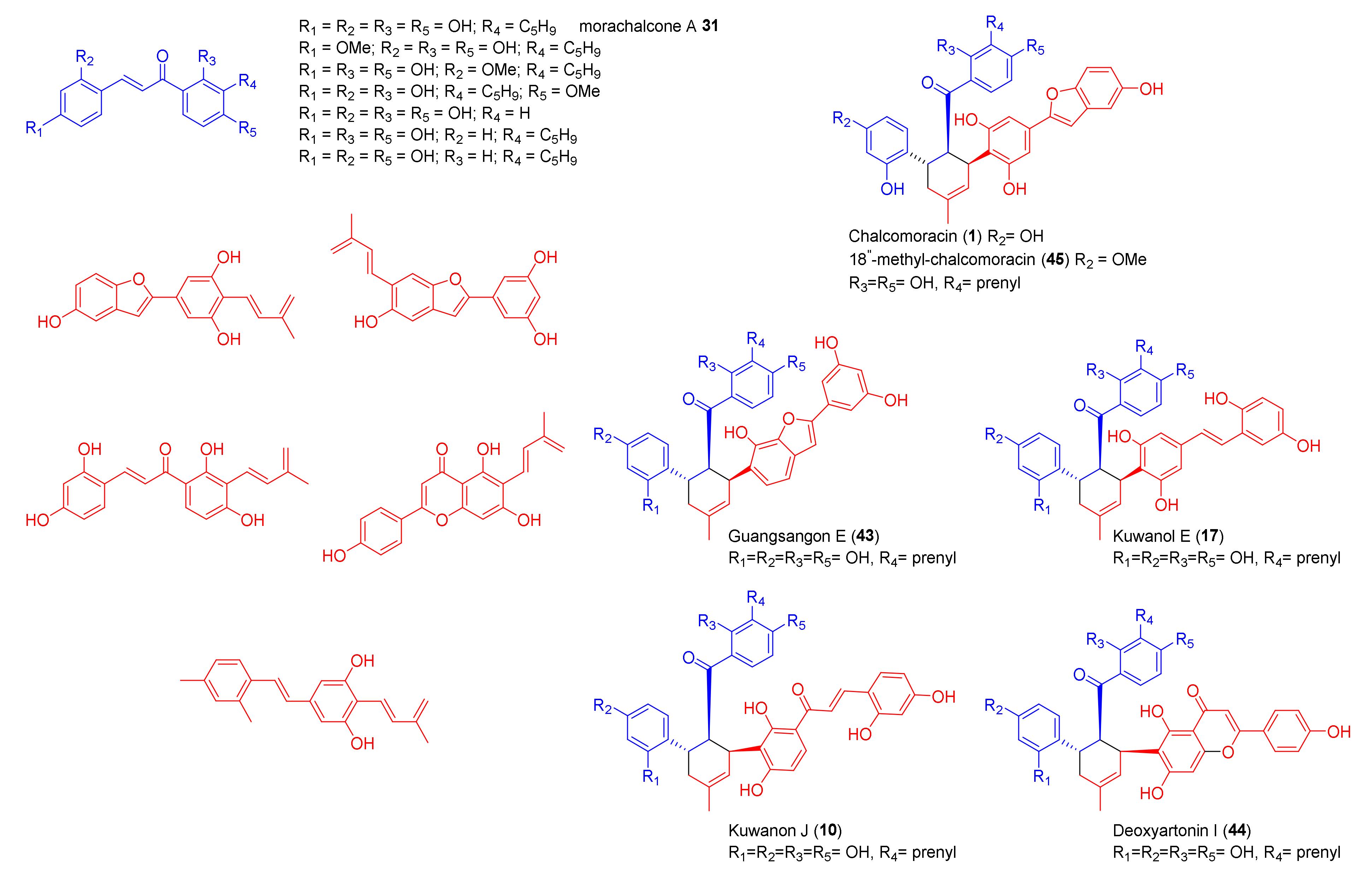Molecules 27 07580 g014 Molecules 27 07580 g014