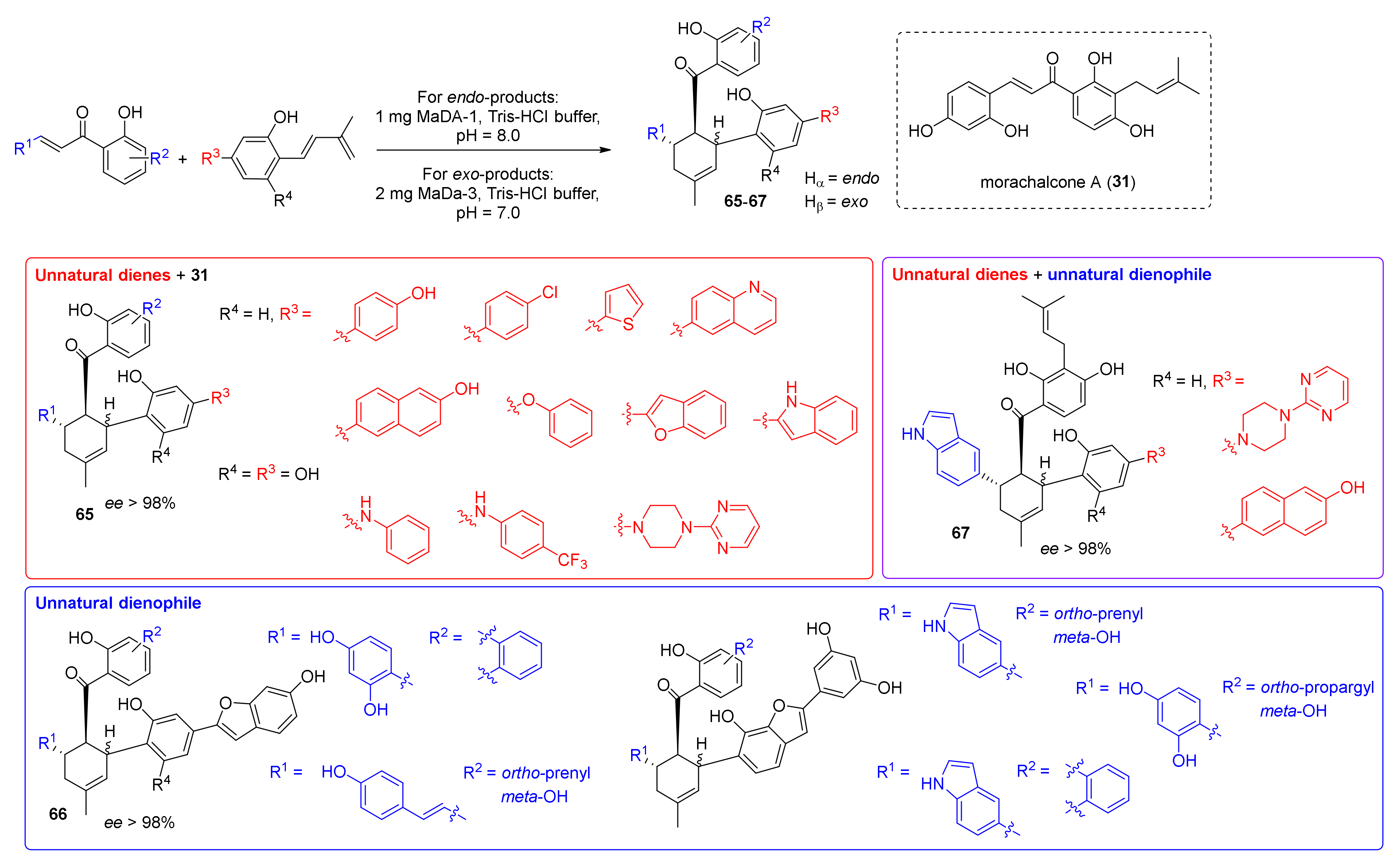Molecules 27 07580 g019 Molecules 27 07580 g019