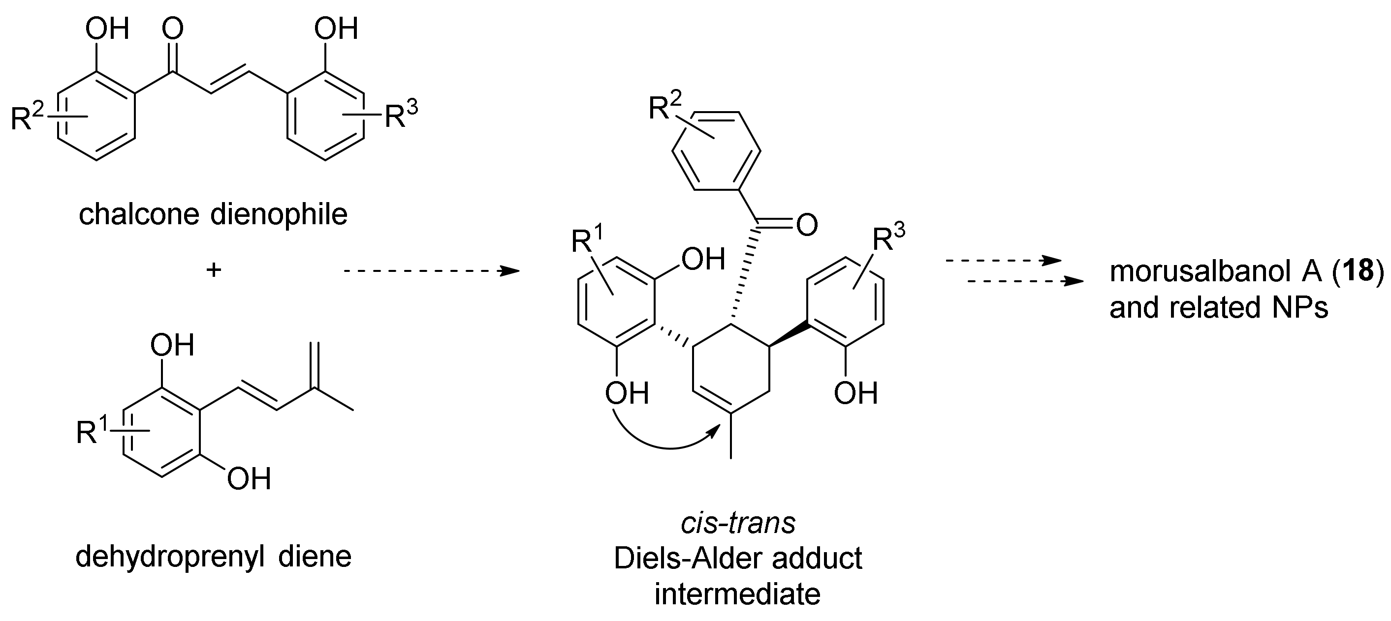 Molecules 27 07580 g040 Molecules 27 07580 g040