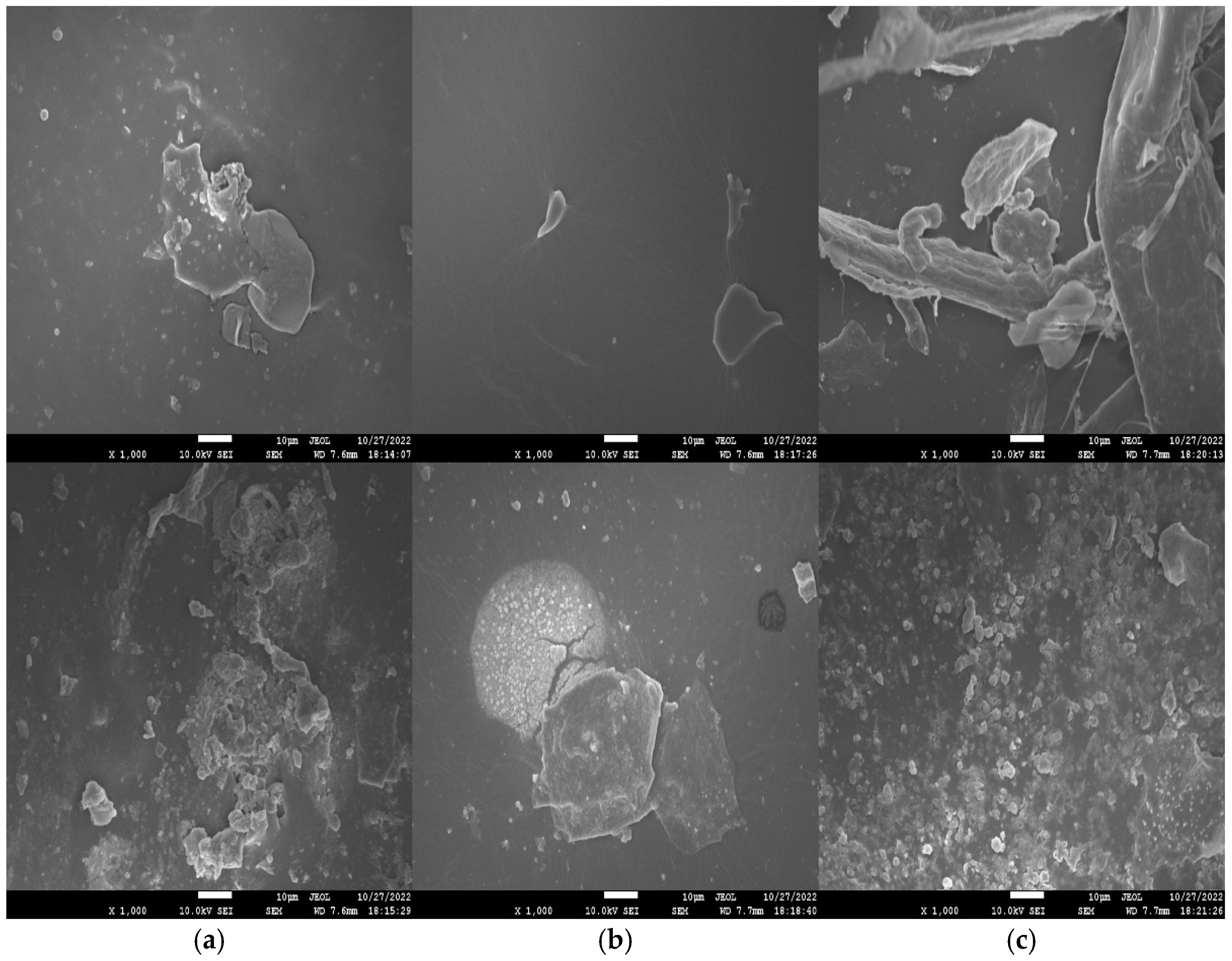 Molecules 27 07581 g006